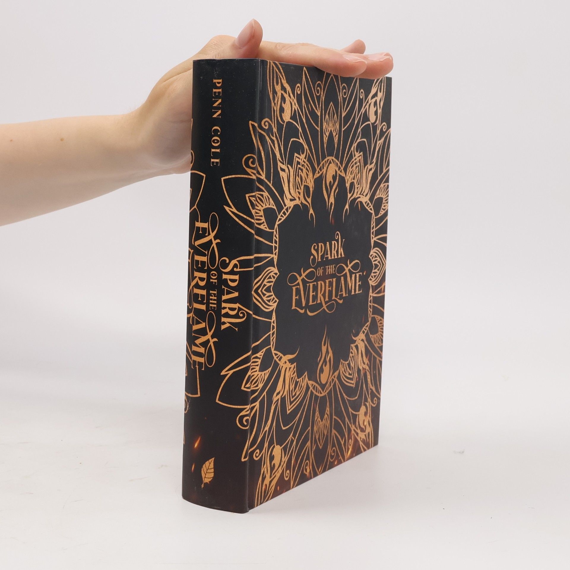Penn Cole Spark of the Everflame / Kindred´s Curse Saga Bd.1