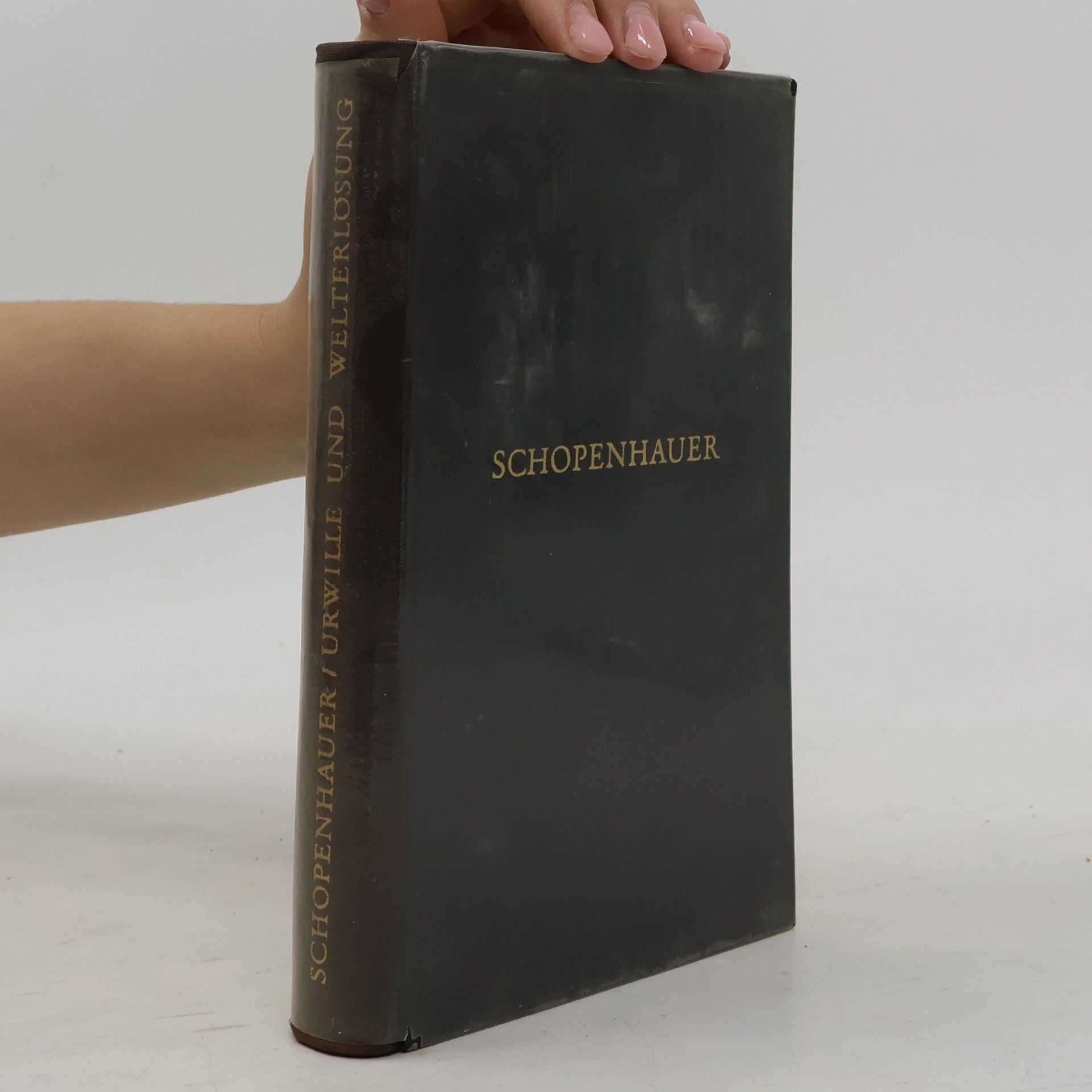 Arthur Schopenhauer Urwille und Welterlösung