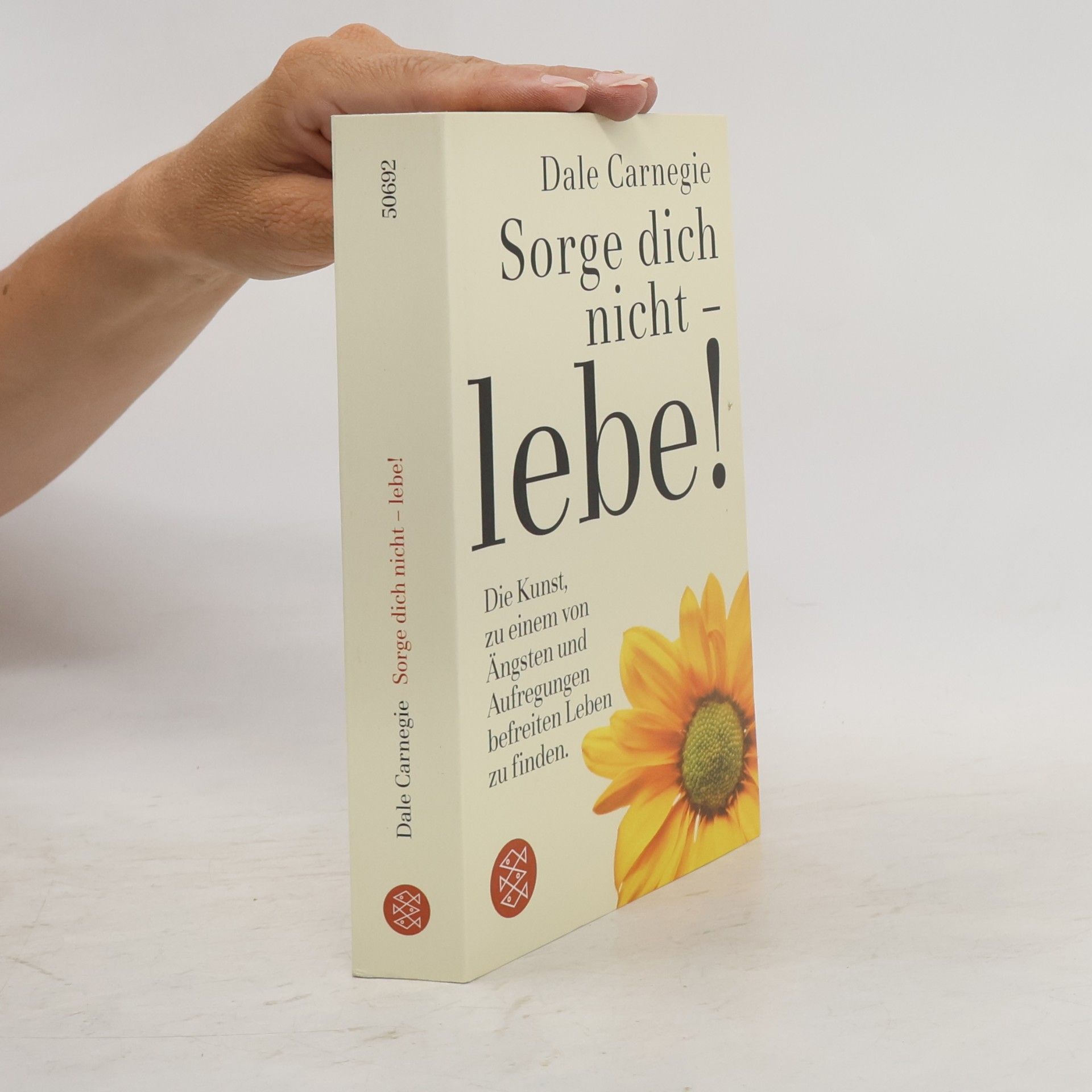 Dale Carnegie Sorge dich nicht - lebe!