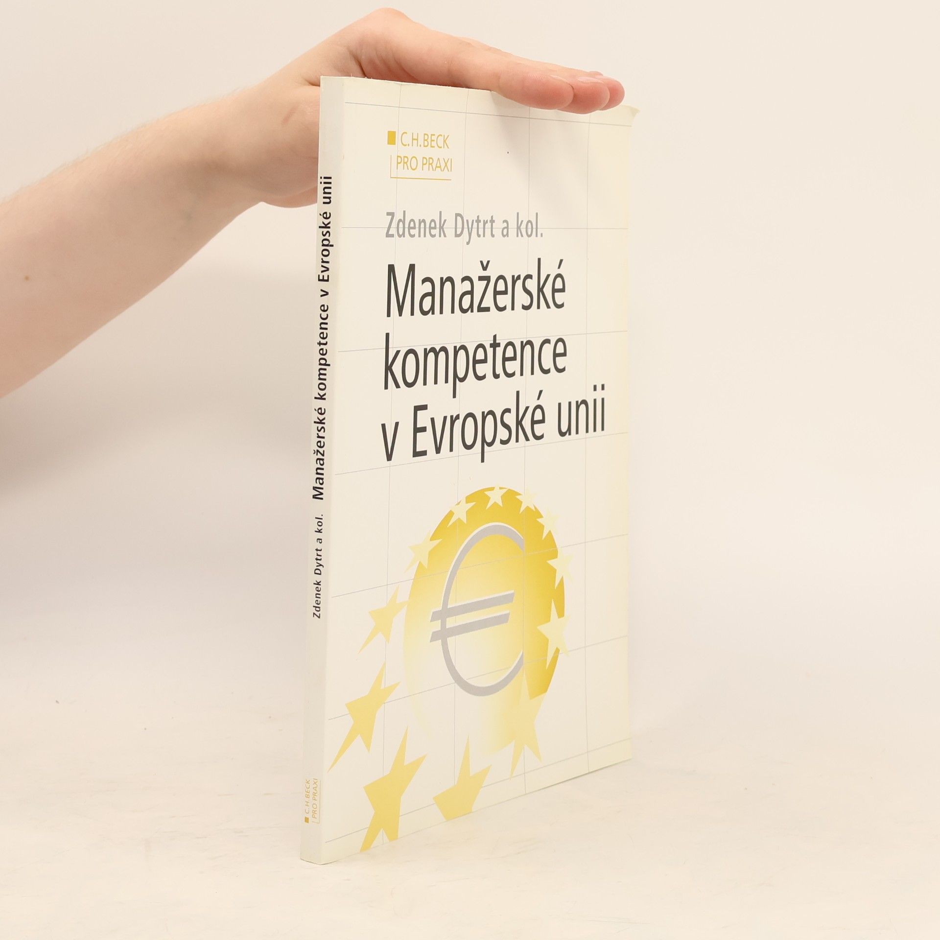 Manažerské kompetence v Evropské unii