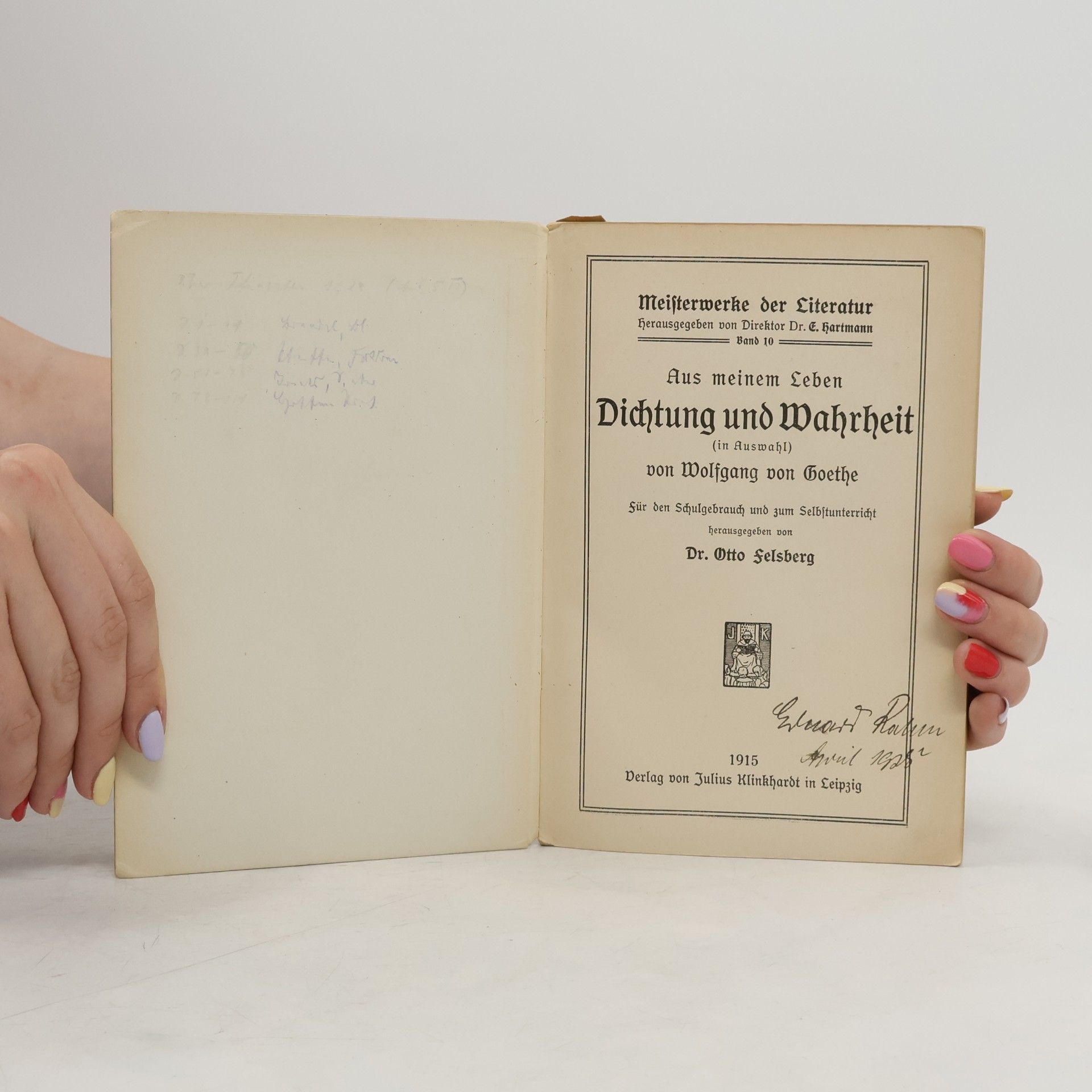 Johann Wolfgang von Goethe Meisterwerke der Literatur Band 10