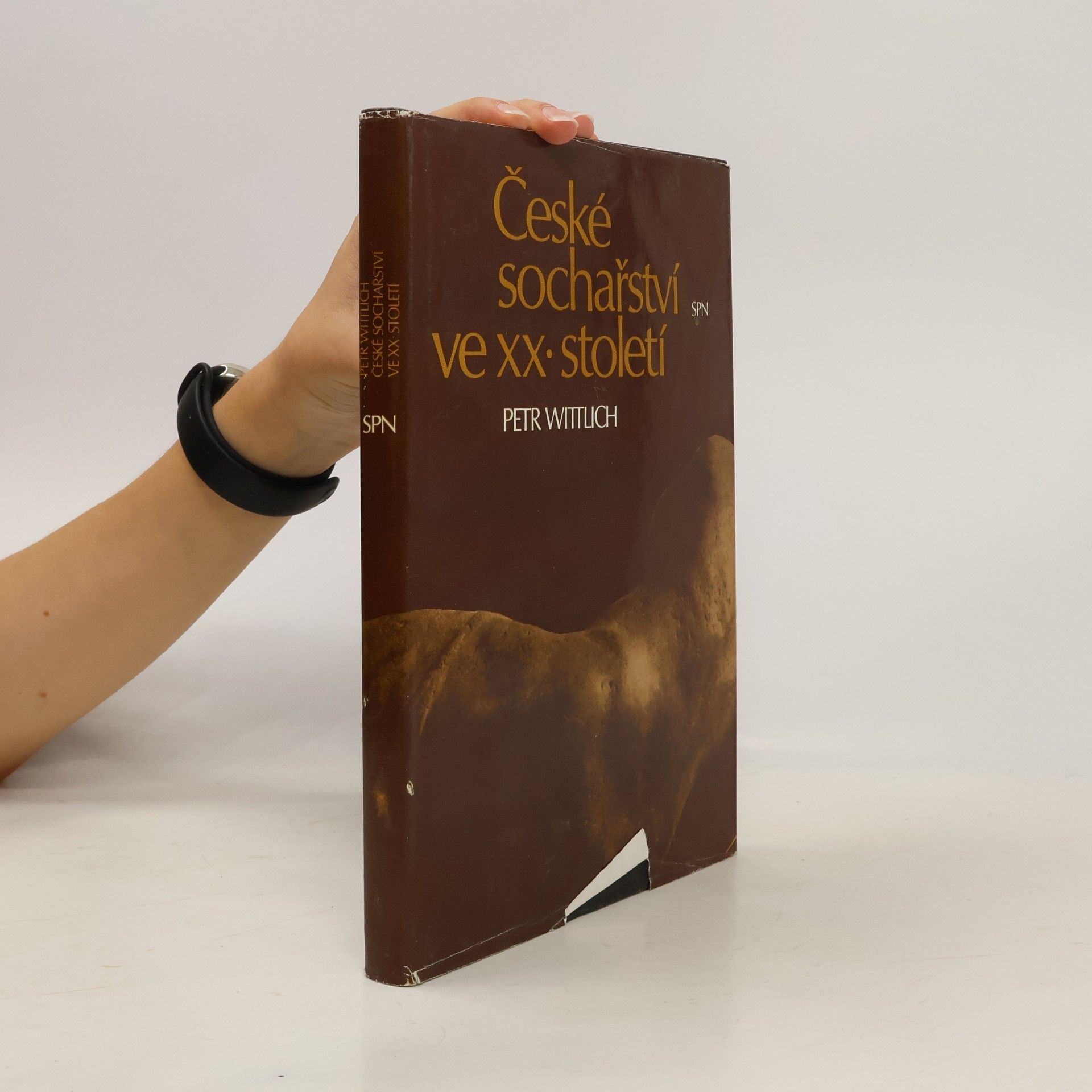 Petr Wittlich České sochařství ve XX. století