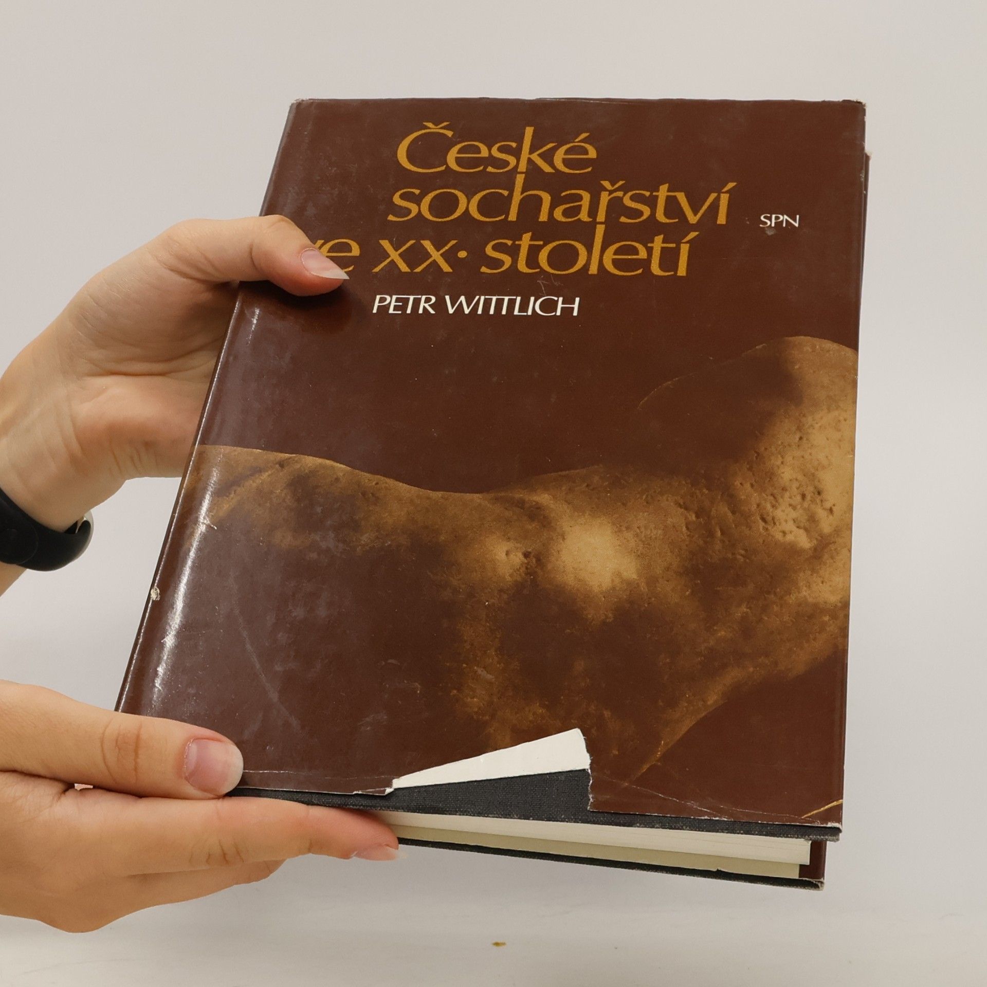 Petr Wittlich České sochařství ve XX. století