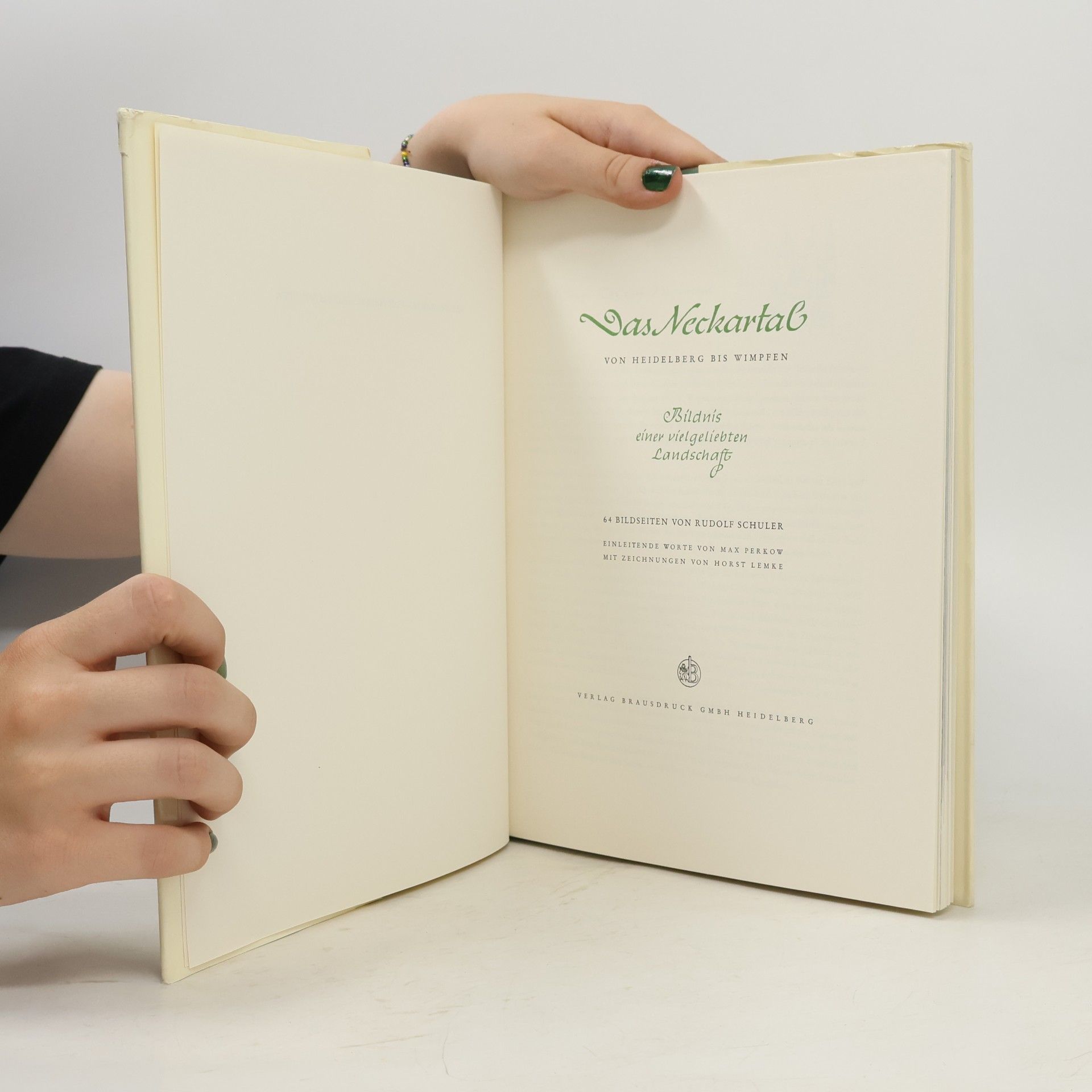 Horst Lemke Das Neckartal