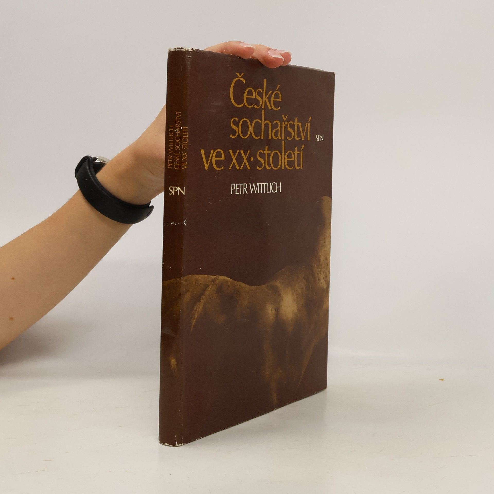 Petr Wittlich České sochařství ve XX. století