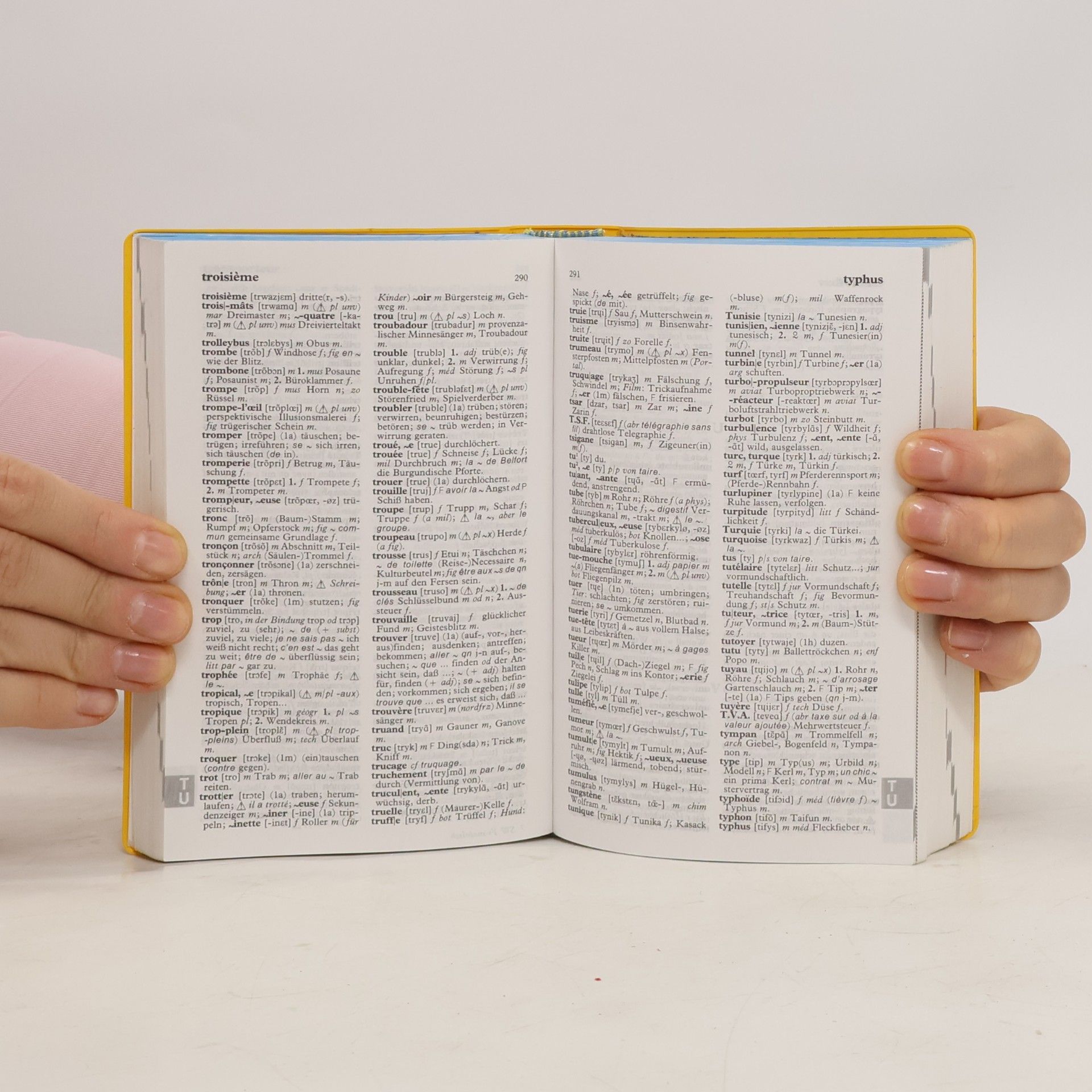 Wolfgang Löffler Langenscheidts Schulwörterbuch Französisch