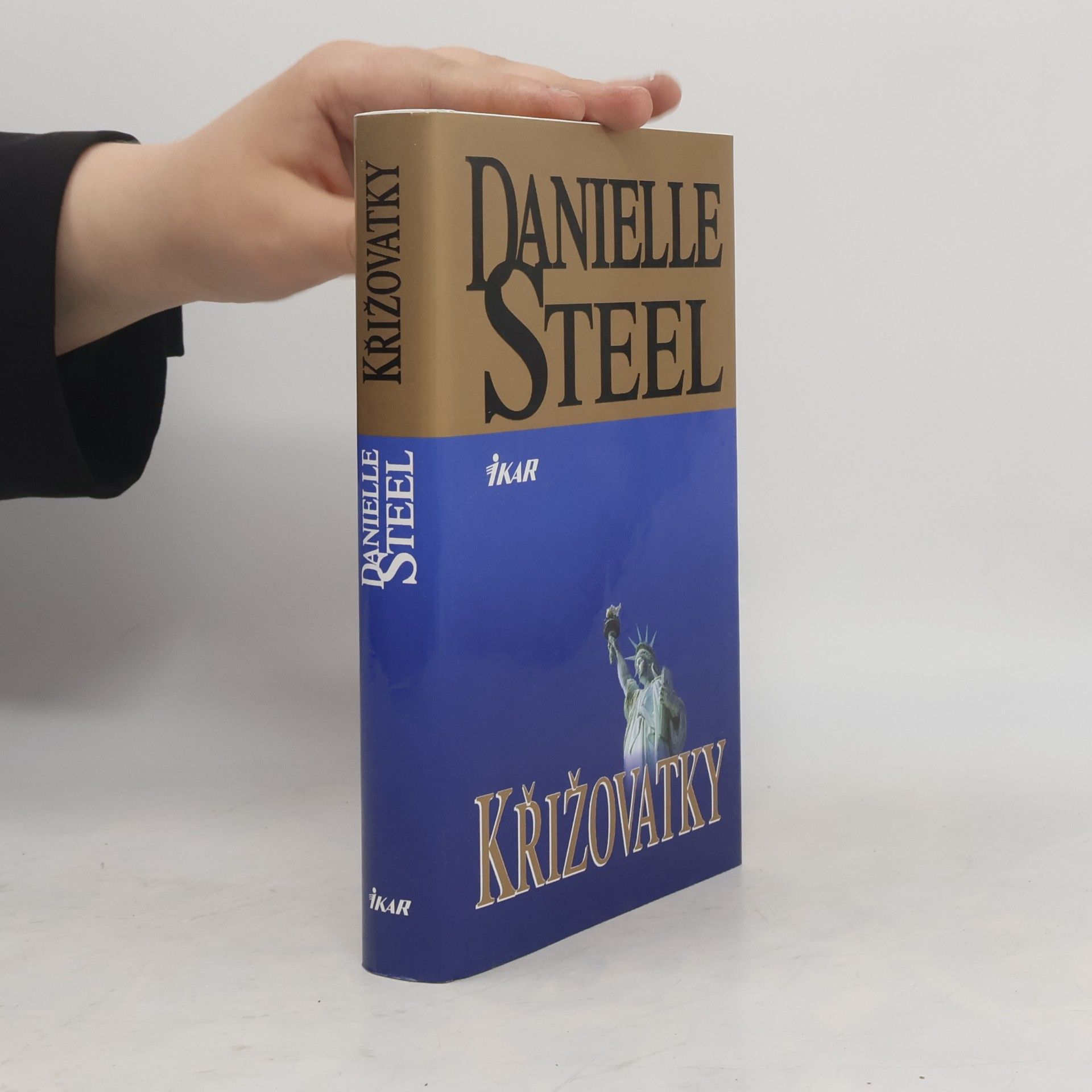 Danielle Steelová Křižovatky