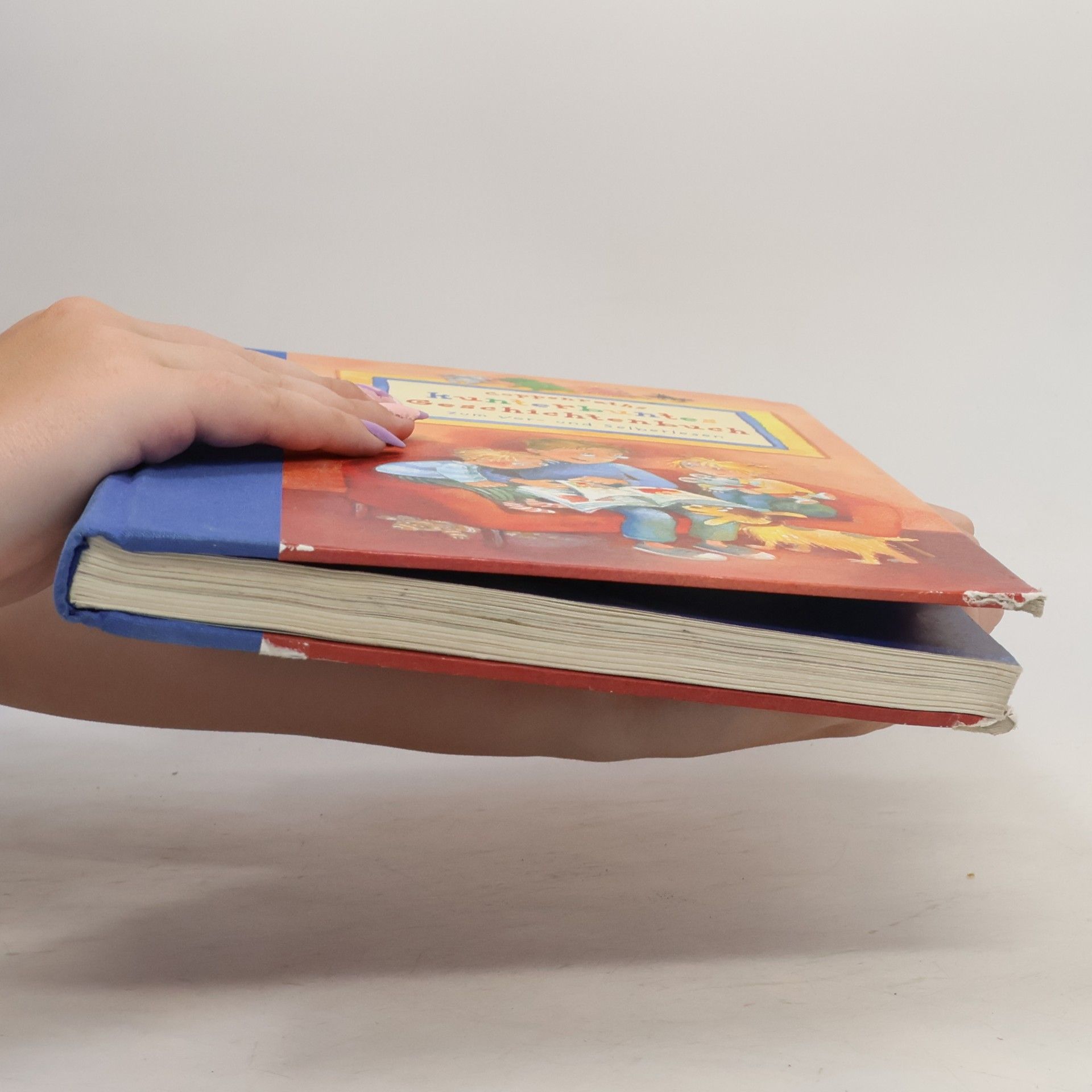 Auteurscollectief Kunterbuntes Geschichtenbuch: Zum Vor- und Selberlesen