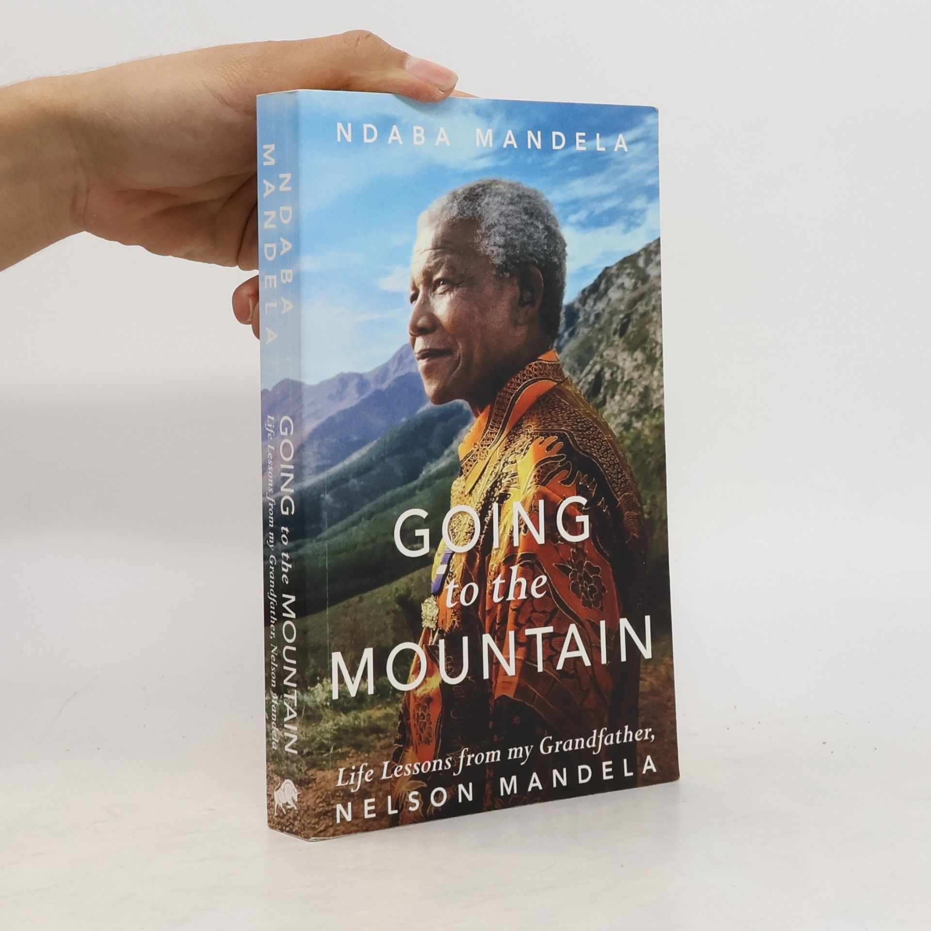Ndaba Mandela Going to the Mountain
