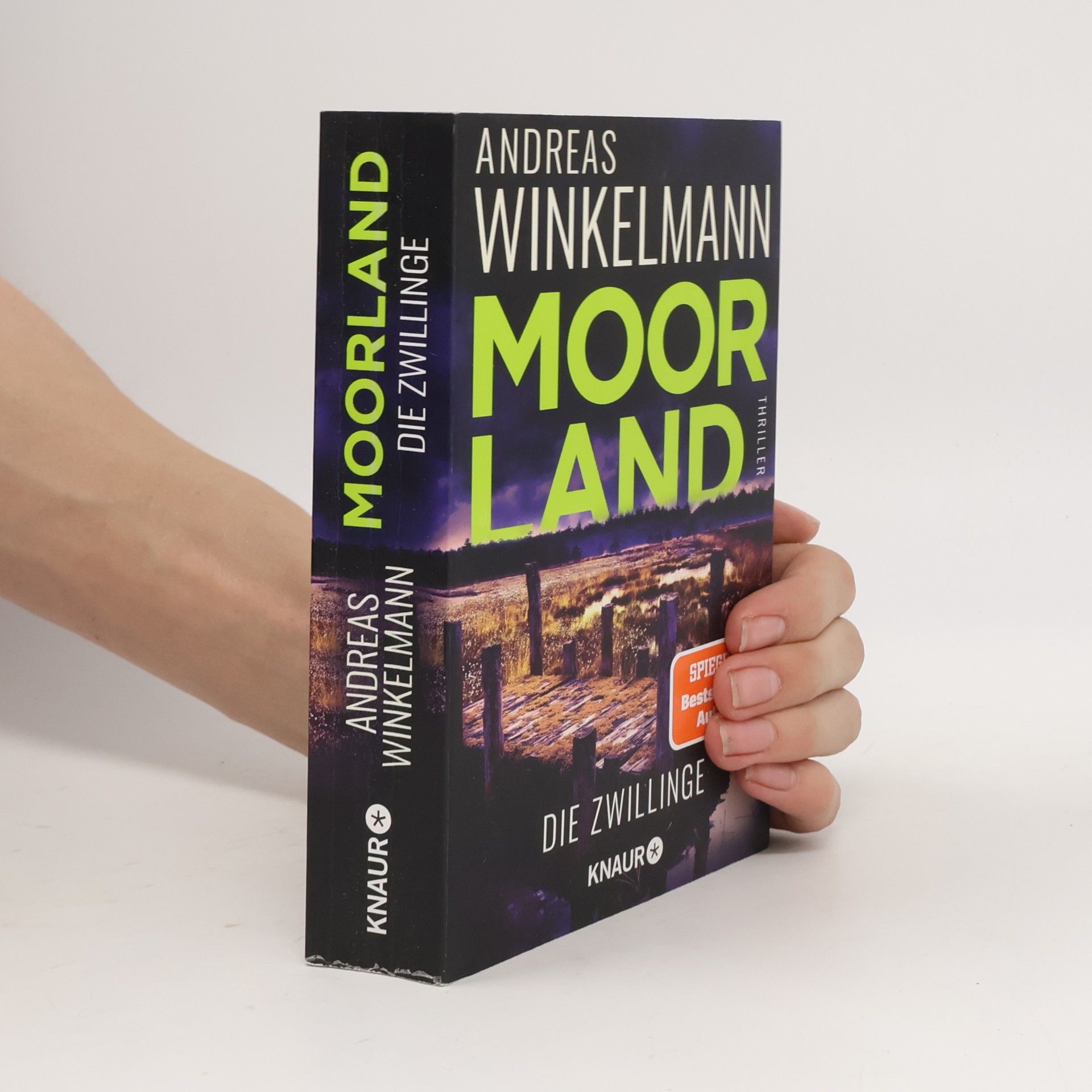 Hendrik Winter Moorland. Die Zwillinge