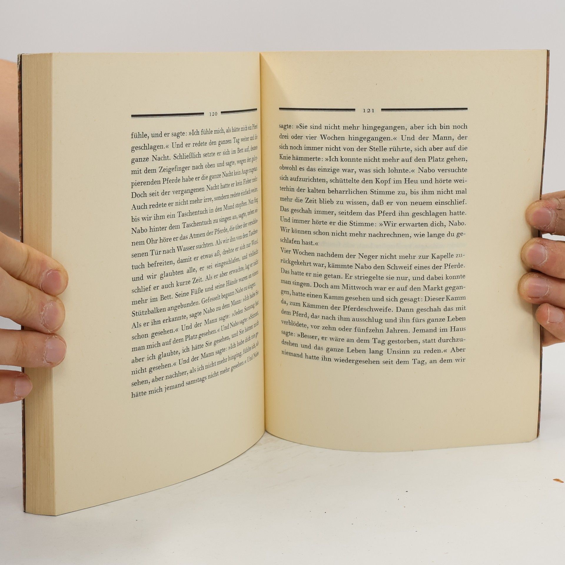 Gabriel García Márquez Die Nacht der Rohrdommeln