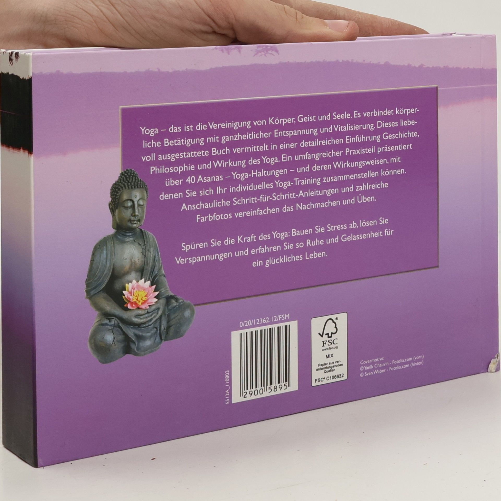 Autorenkollektiv Yoga. Quelle von Lebensfreude und Zufriedenheit