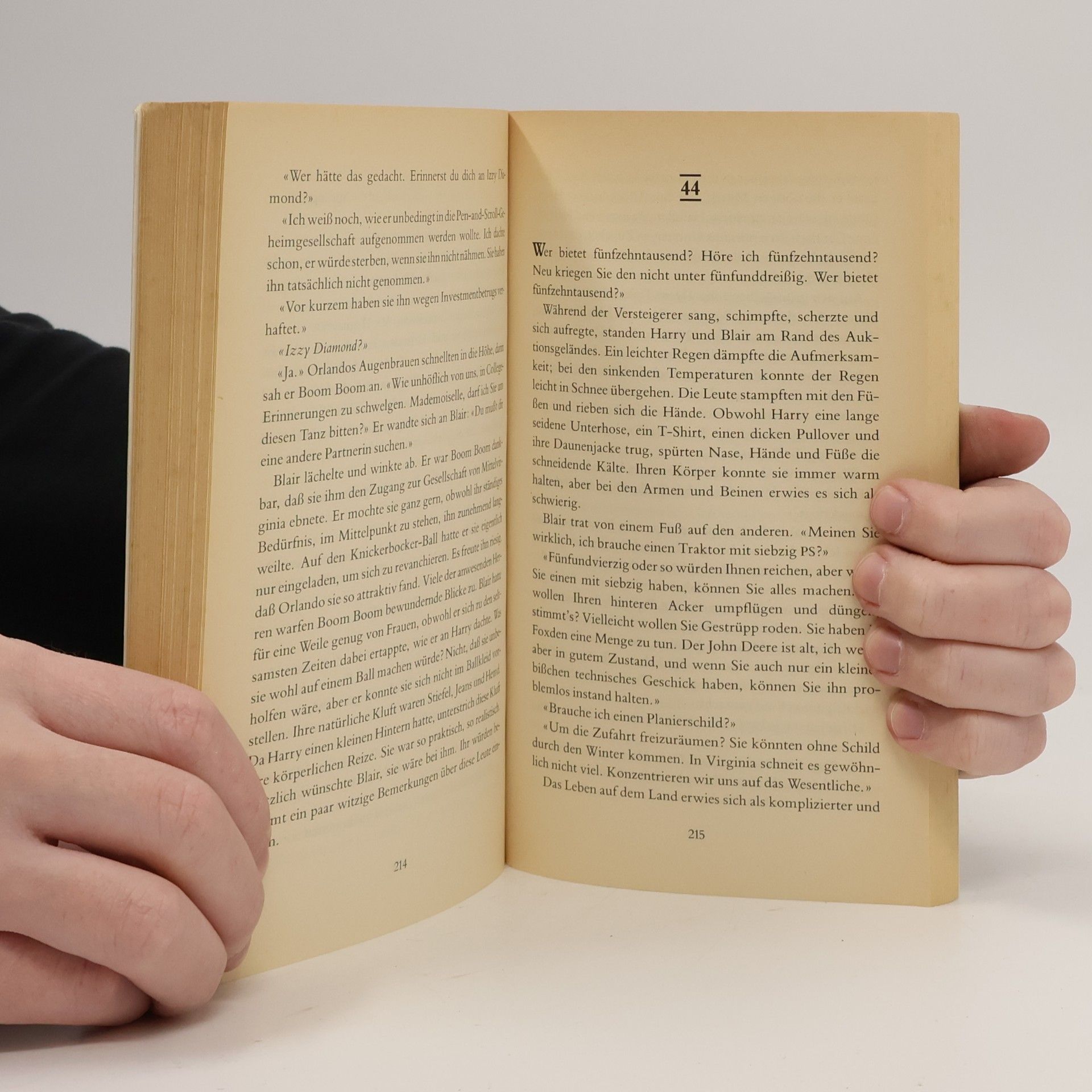 Rita Mae Brown Ruhe in Fetzen