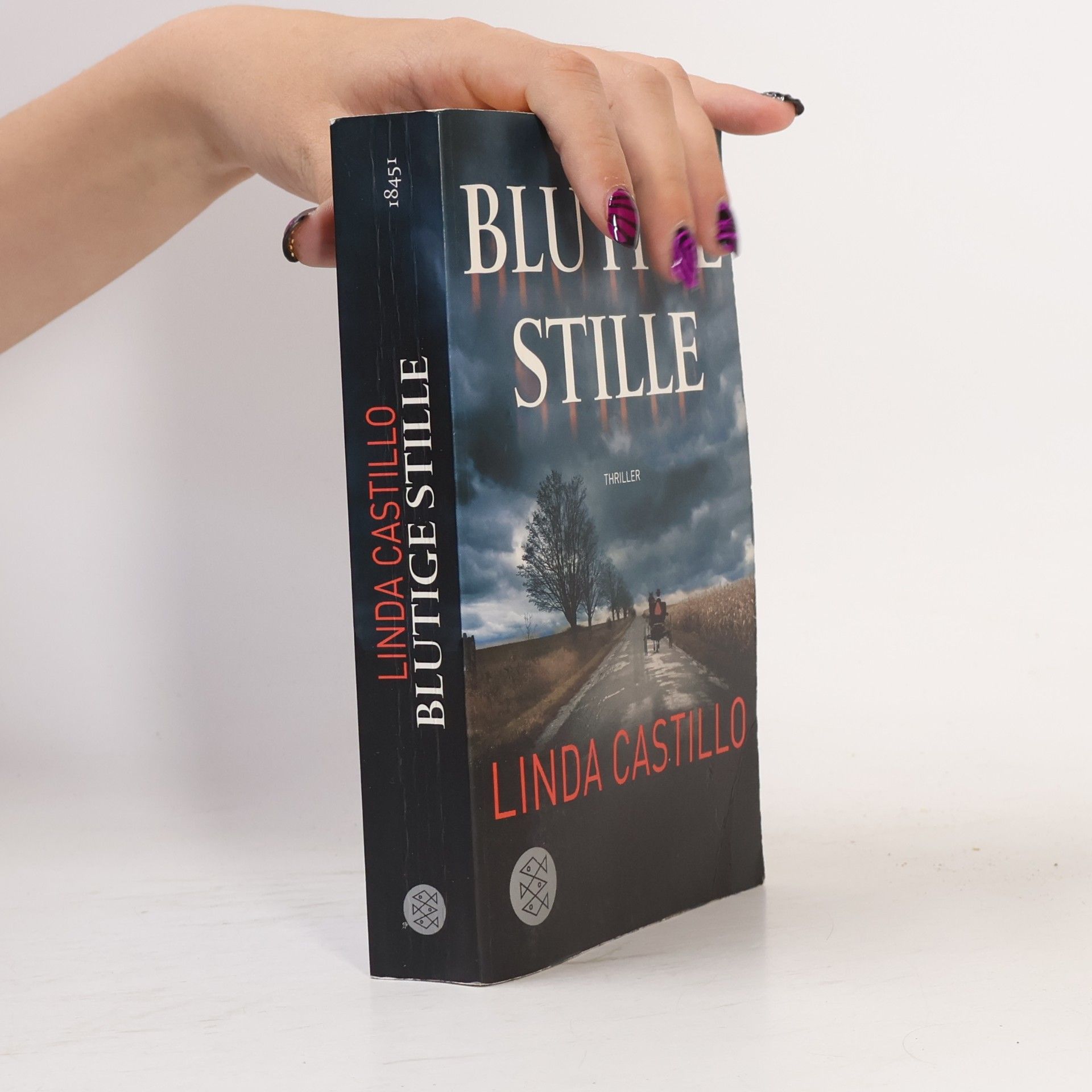 Linda Castillo Blutige Stille