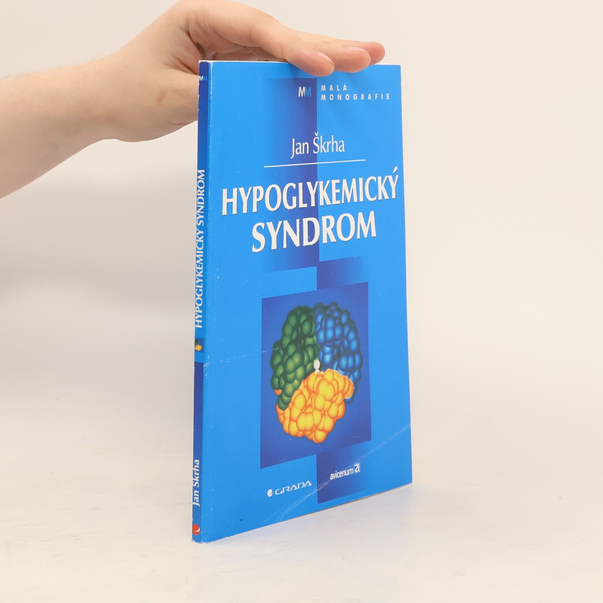 Jan Škrha Hypoglykemický syndrom