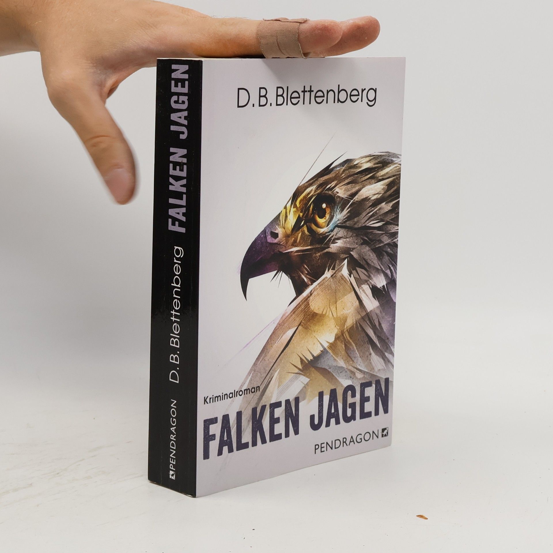 Detlef Blettenberg Falken jagen