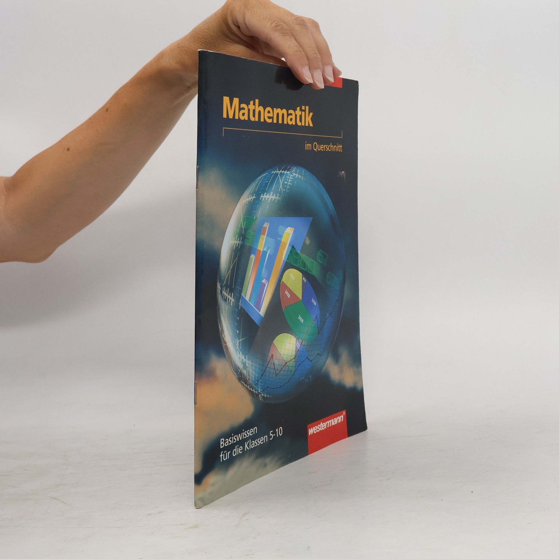 Kolektiv autorů Querschnitt Mathematik