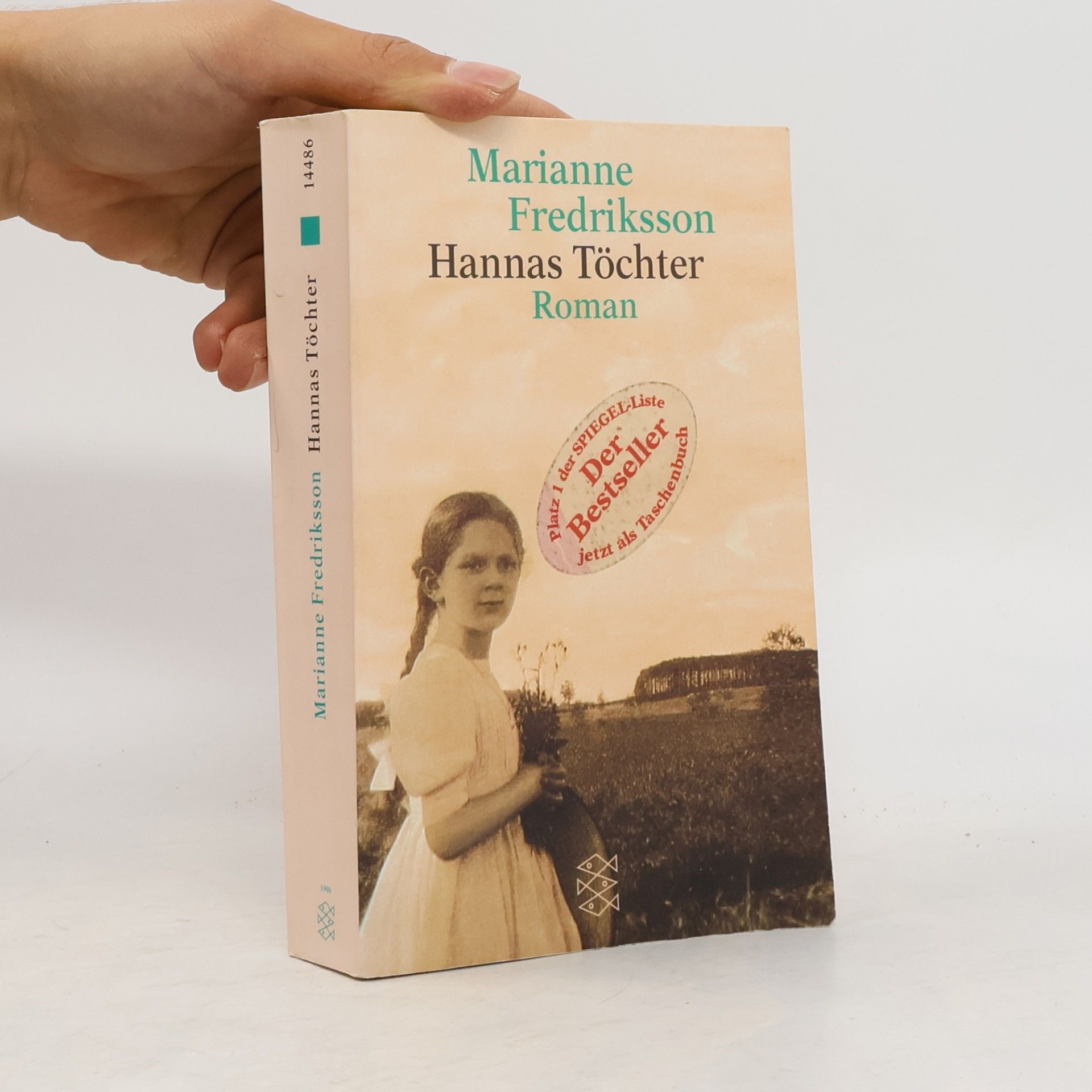 Marianne Fredriksson Hannas Töchter