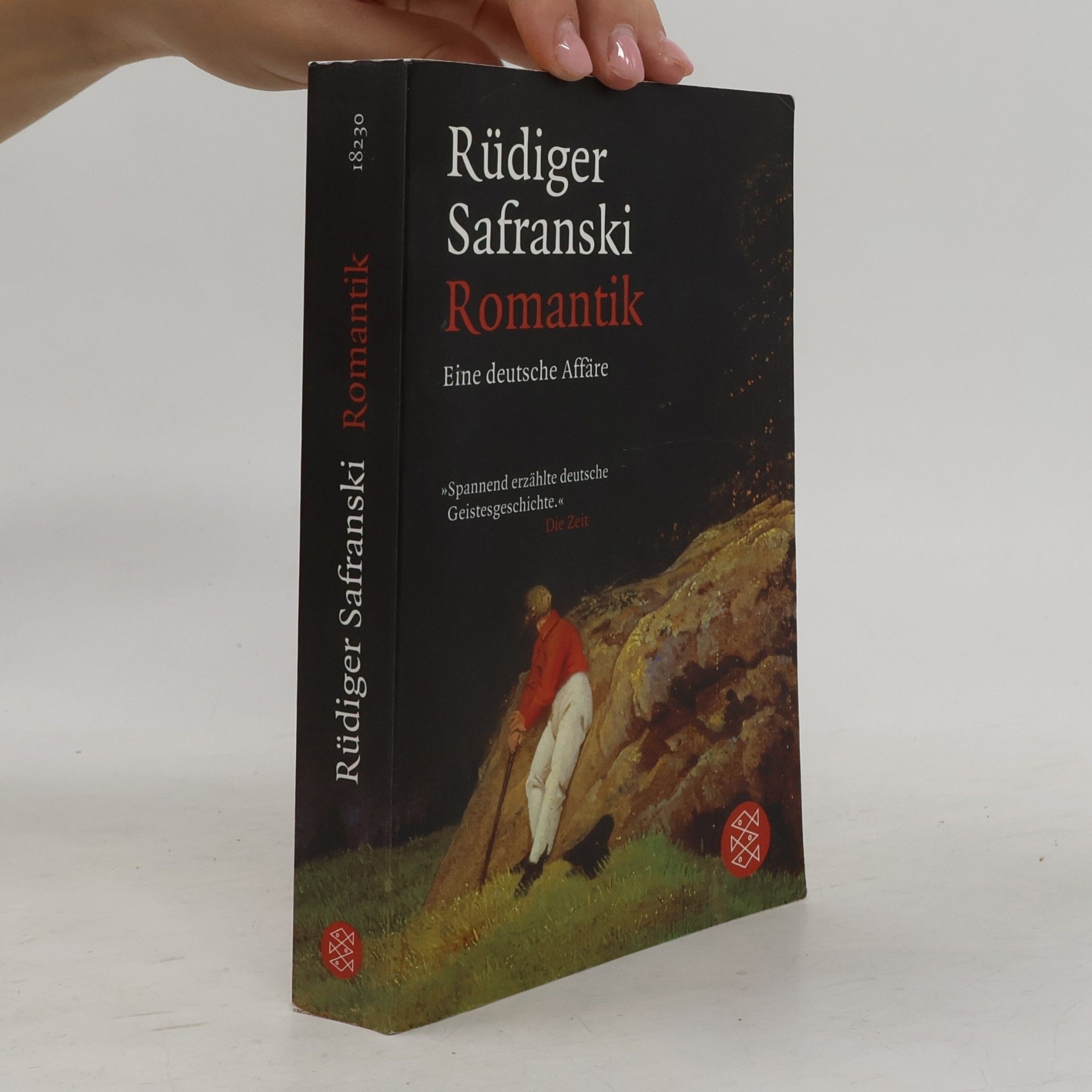 Rüdiger Safranski Romantik