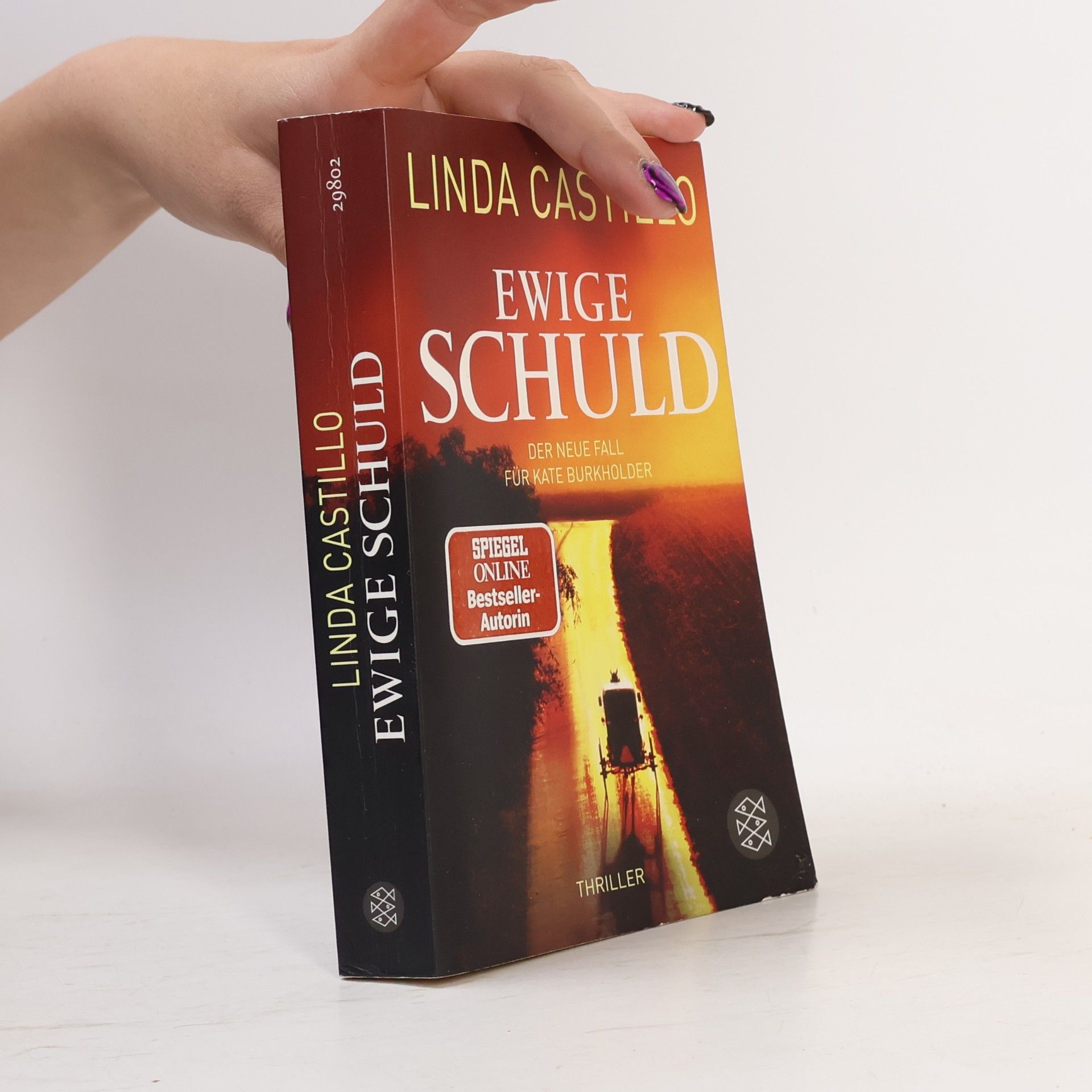 Linda Castillo Ewige Schuld