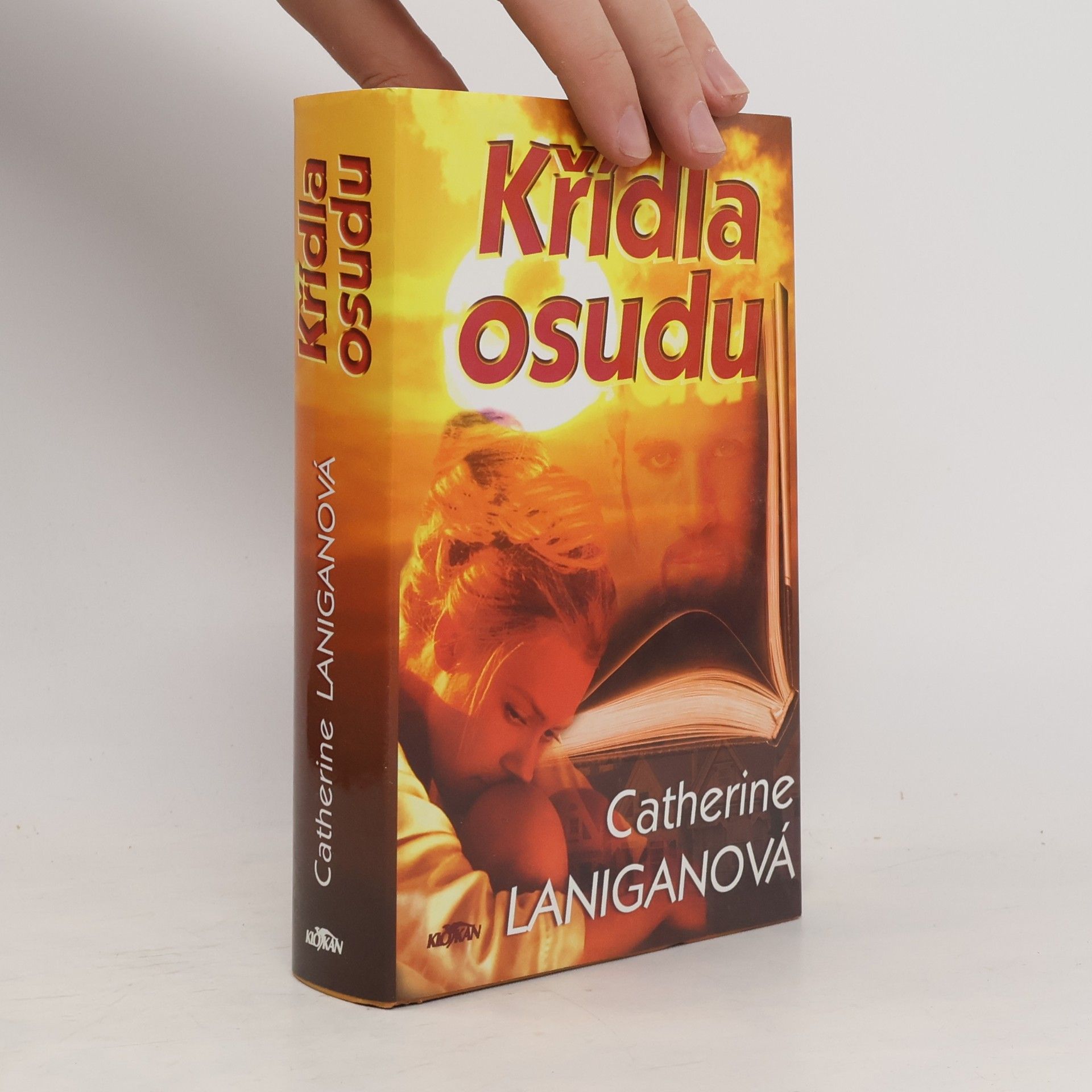 Catherine Lanigan Křídla osudu