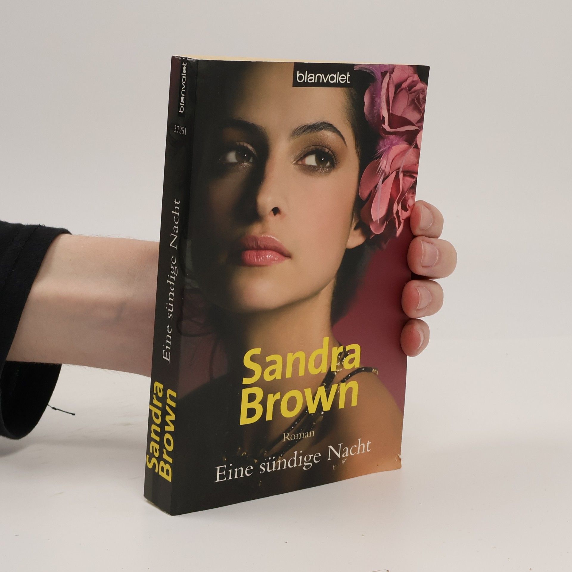 Sandra Brown Eine sündige Nacht