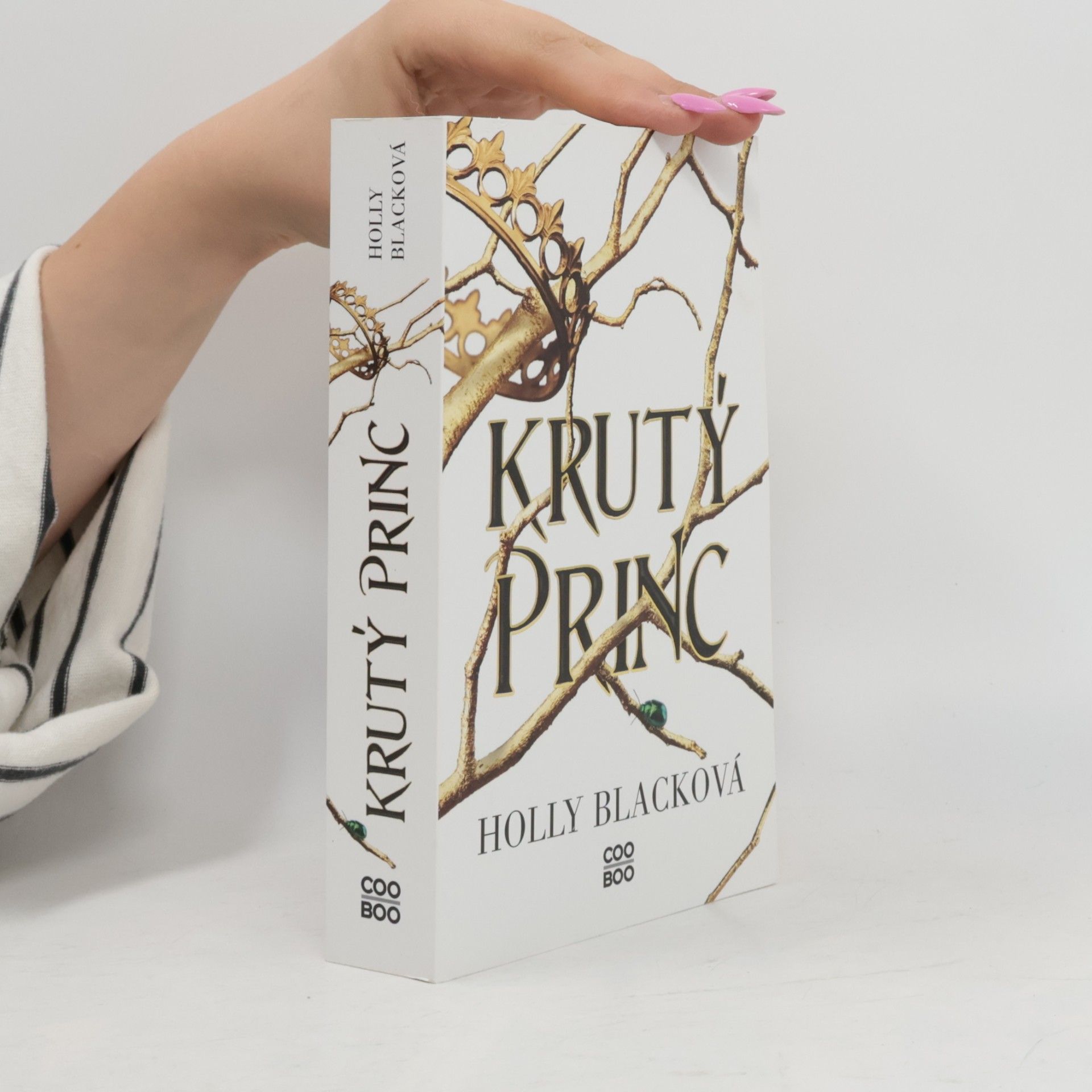 Holly Black Krutý princ