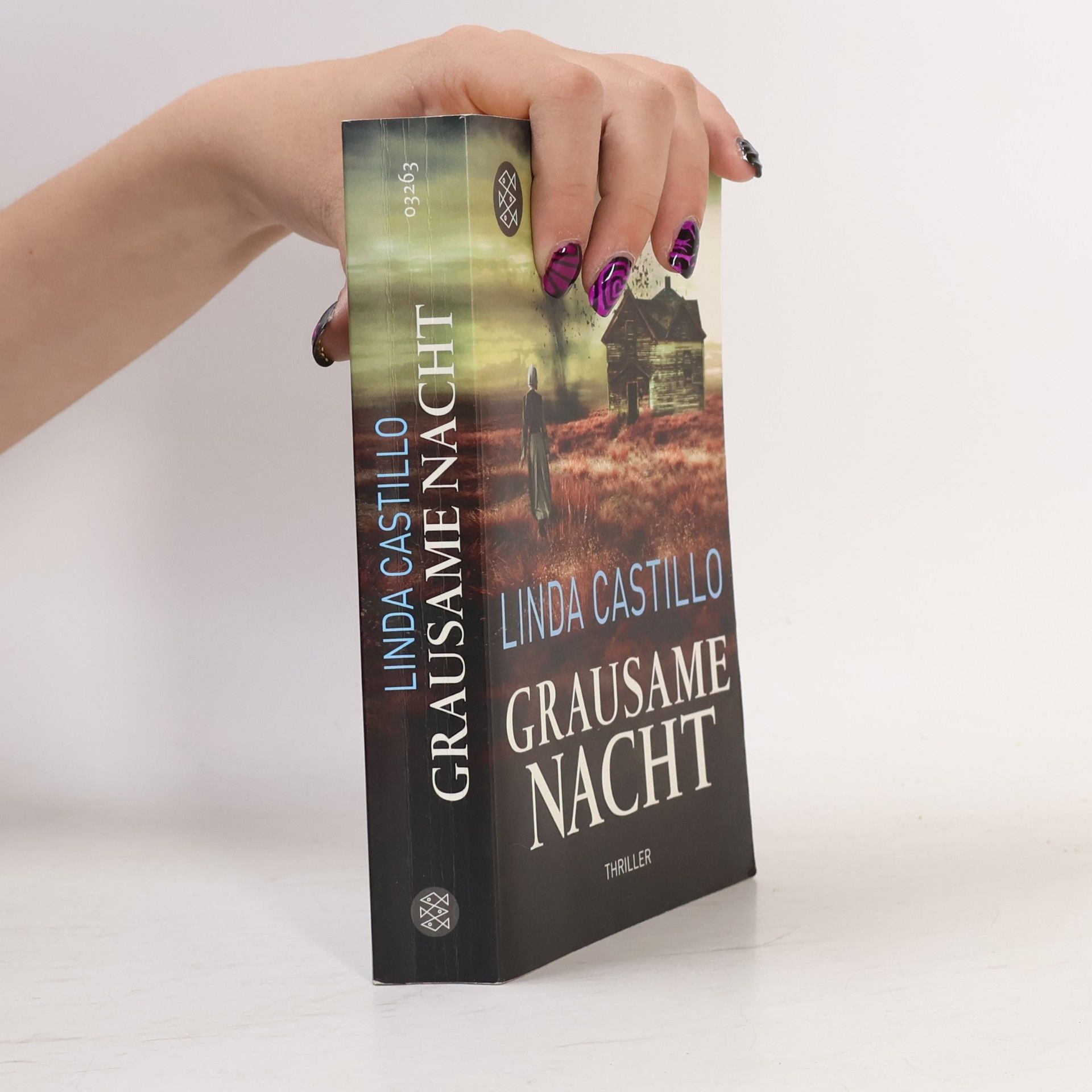 Linda Castillo Grausame Nacht