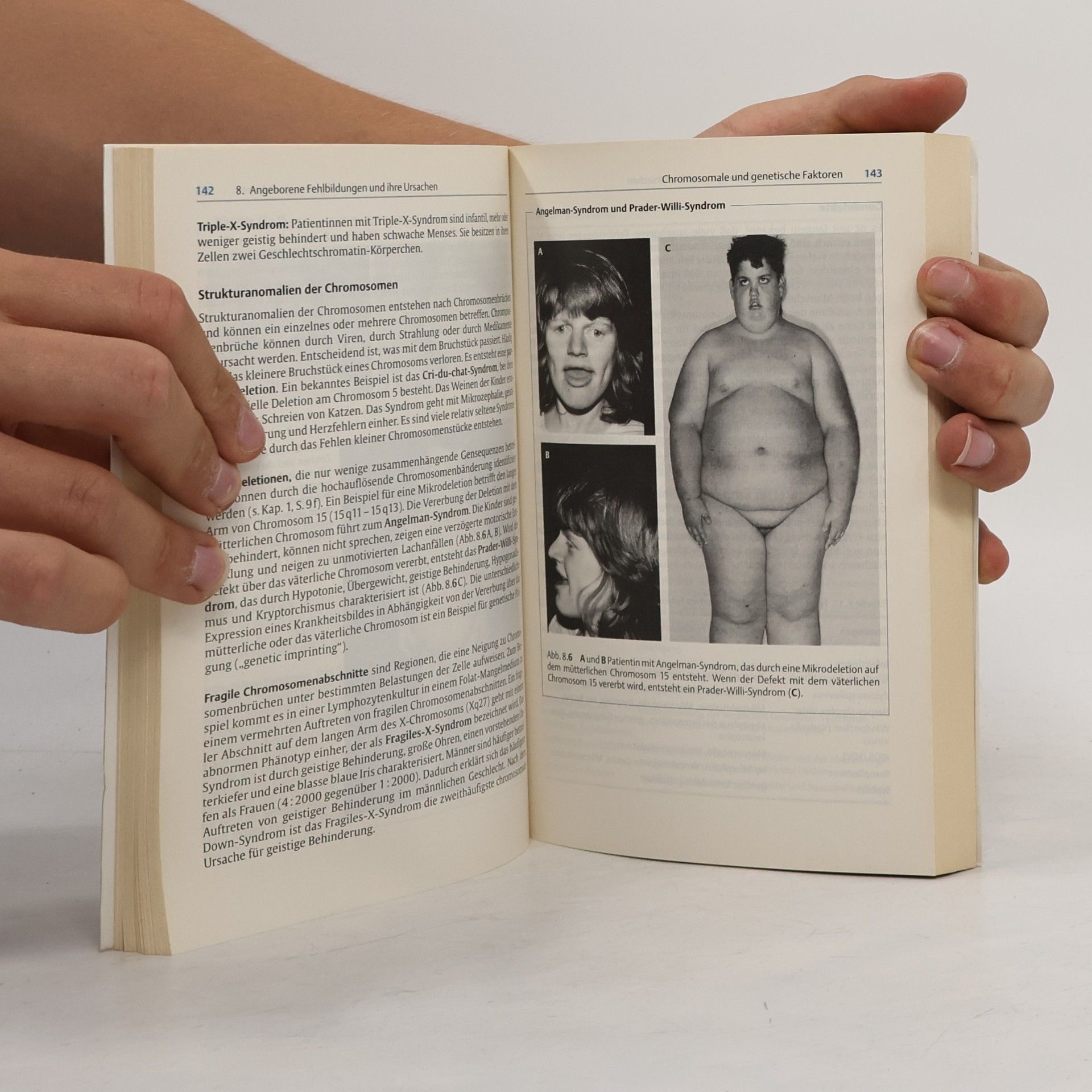Thomas W. Sadler Medizinische Embryologie