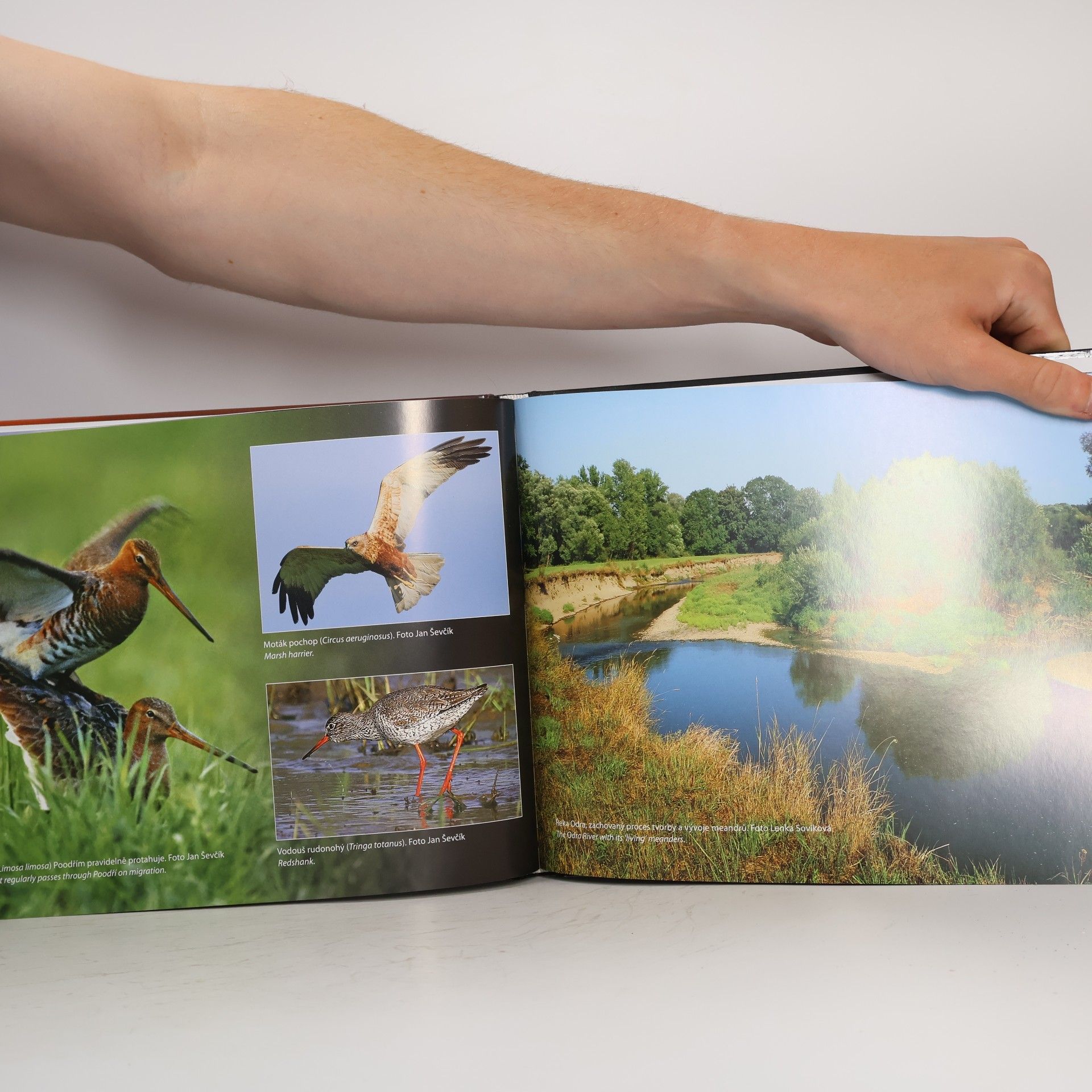 Ivana Bufková Mokřady mezinárodního významu České republiky. Czech Wetlands of International Importance