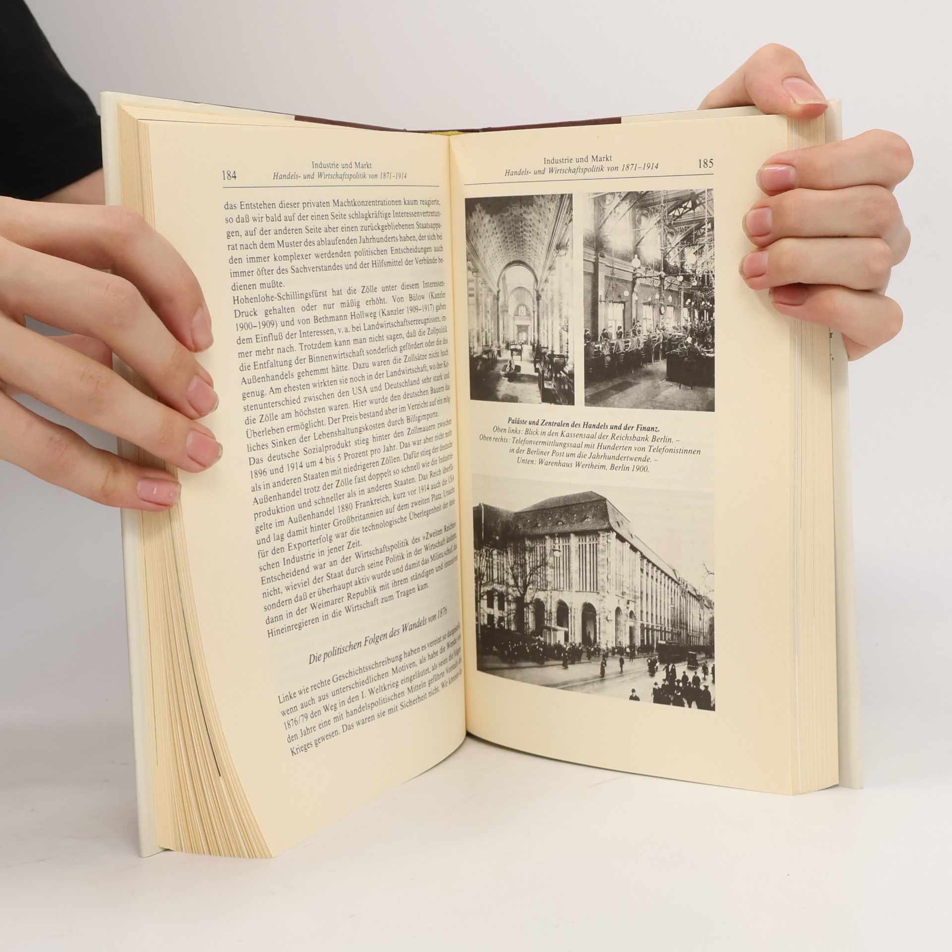 Heinrich Pleticha Deutsche Geschichte 10. Fürstenhöfe und Fabriken