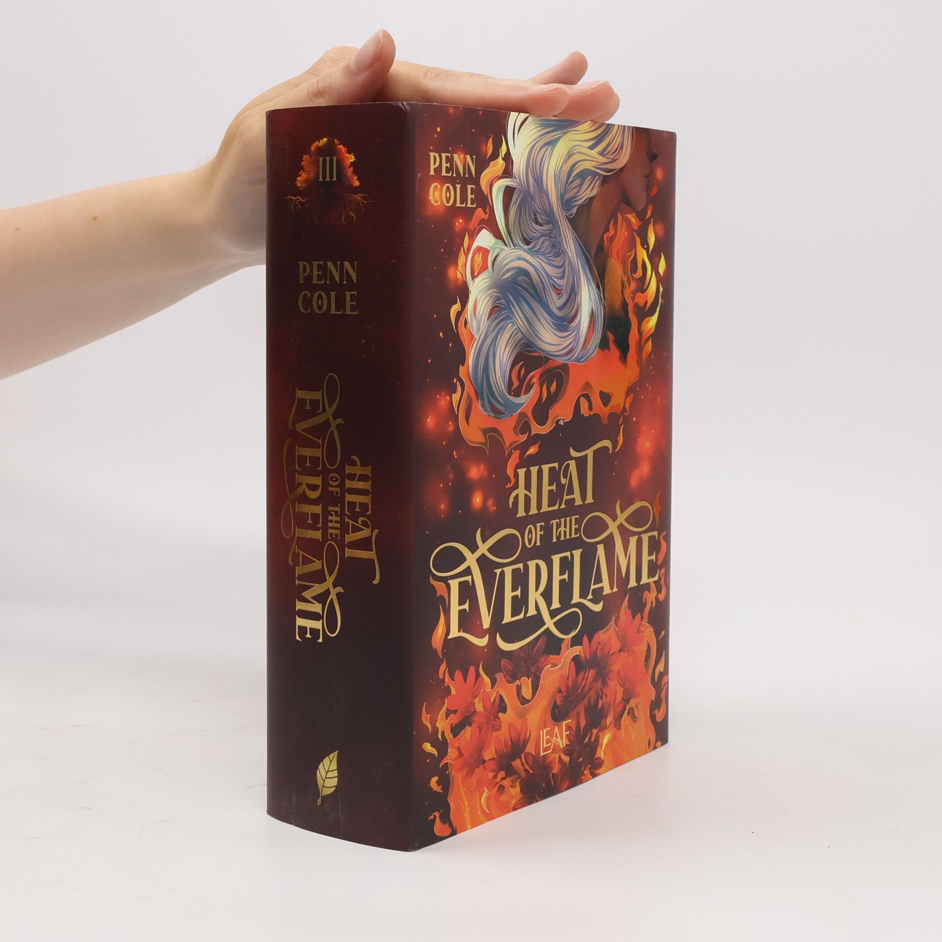 Penn Cole Heat of the Everflame / Kindred´s Curse Saga Bd.3
