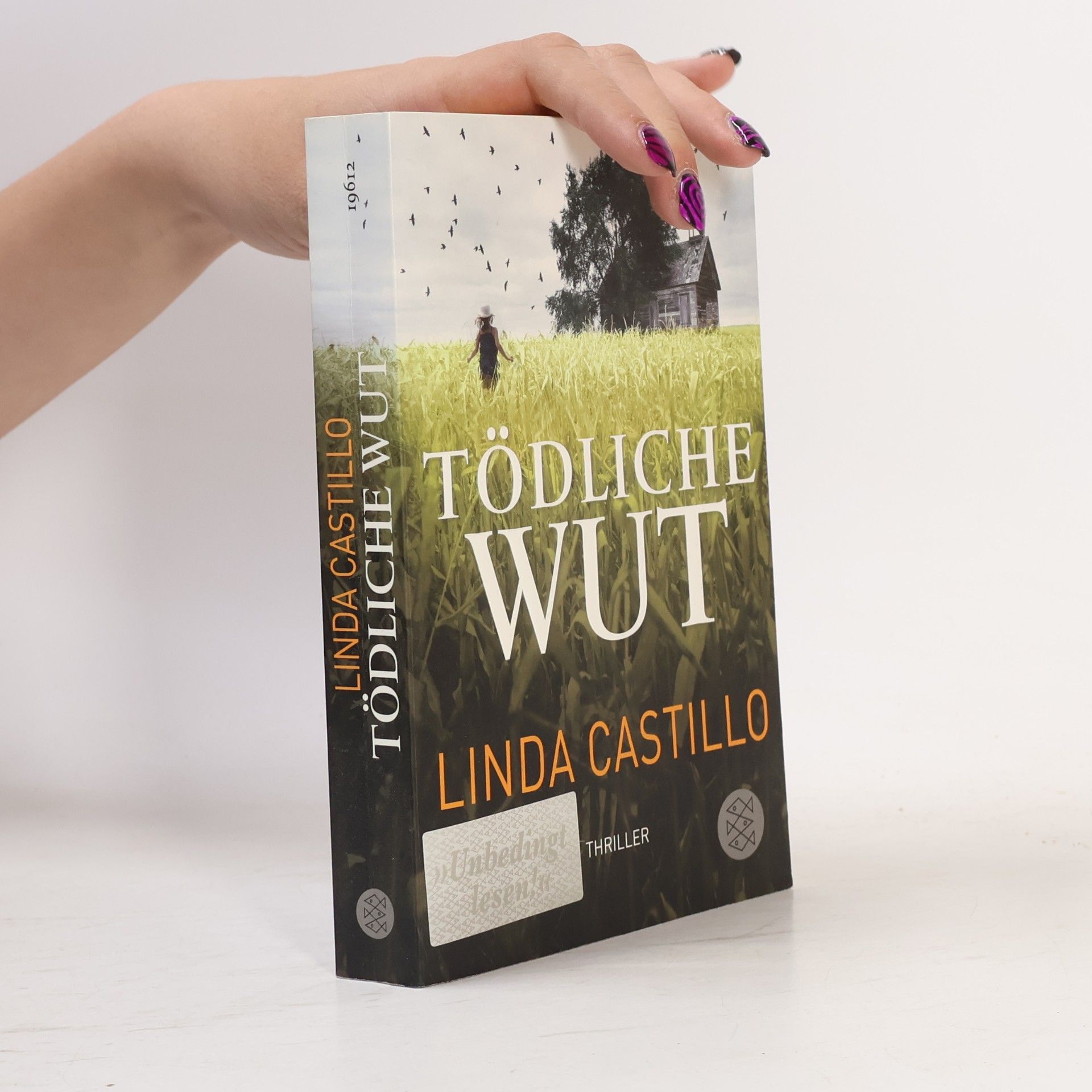 Linda Castillo Tödliche Wut