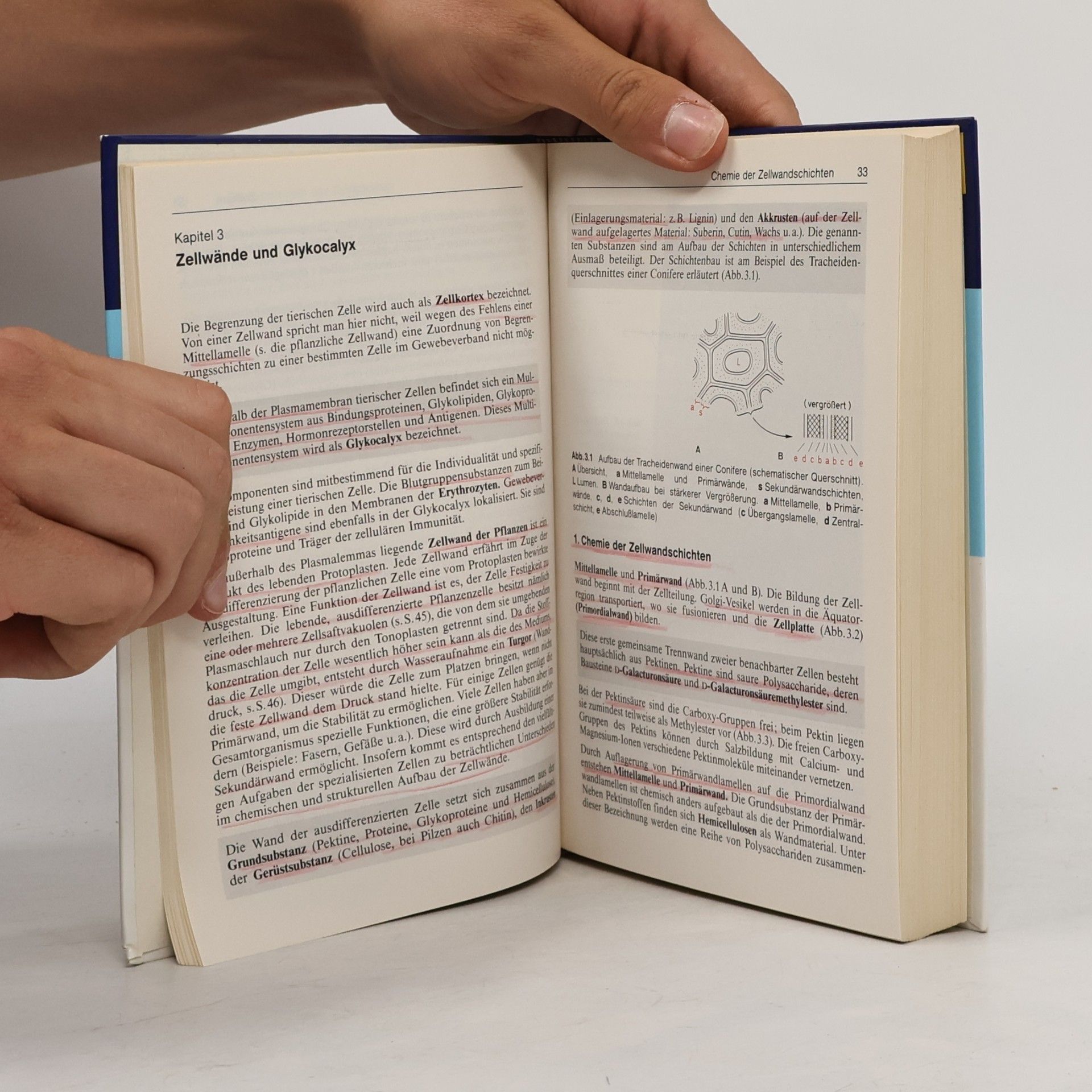 Eckhard Leistner Pharmazeutische Biologie