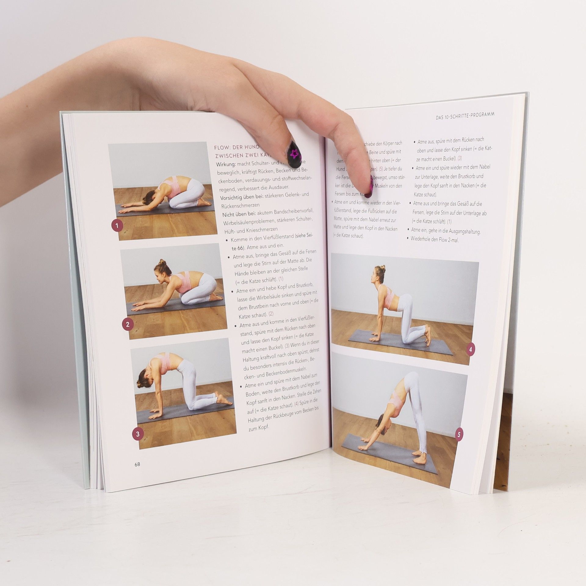 Harry Waesse Yoga für Einsteiger