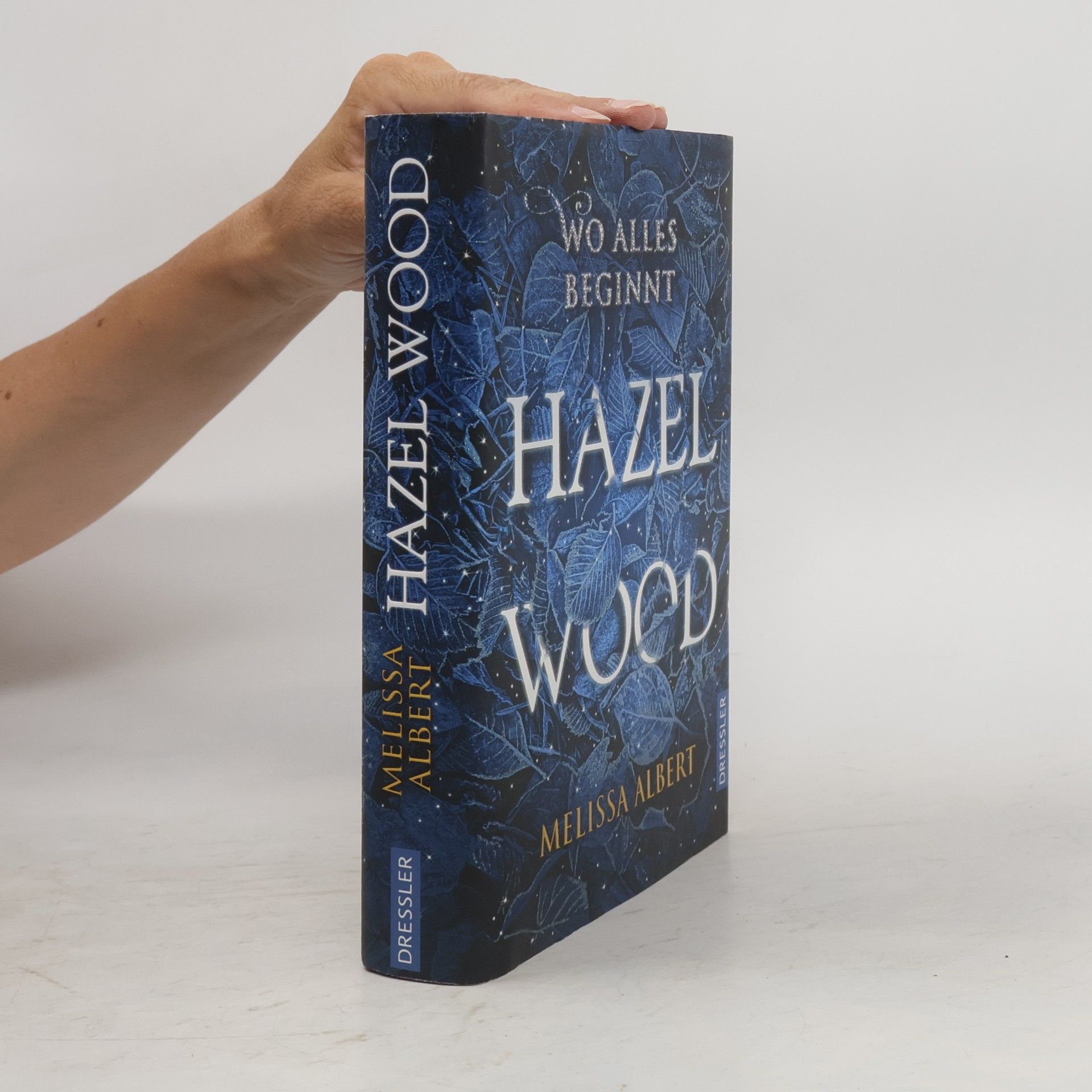 Melissa Albert Hazel Wood: Wo alles beginnt