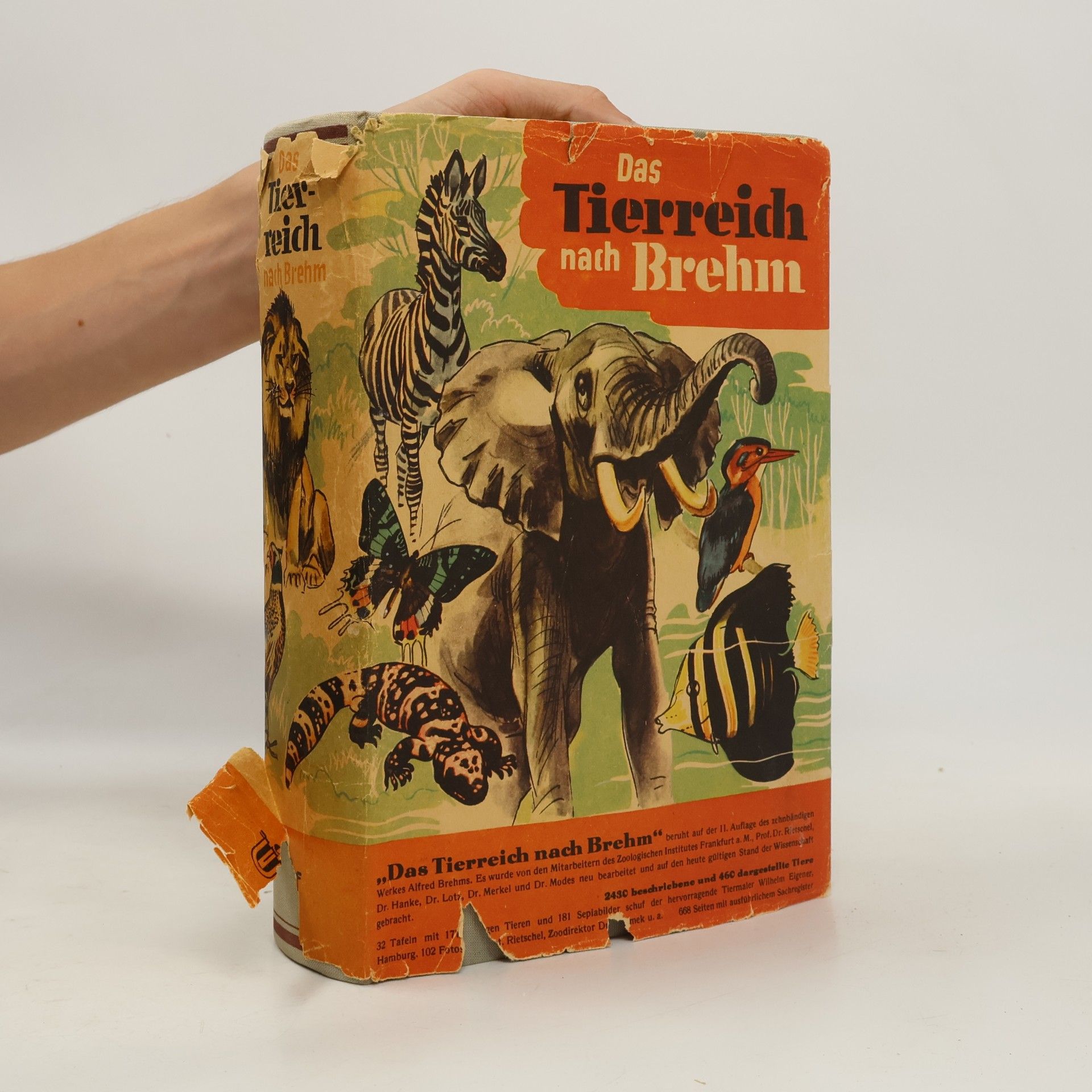 Peter Rietschel Das Tierreich nach Brehm
