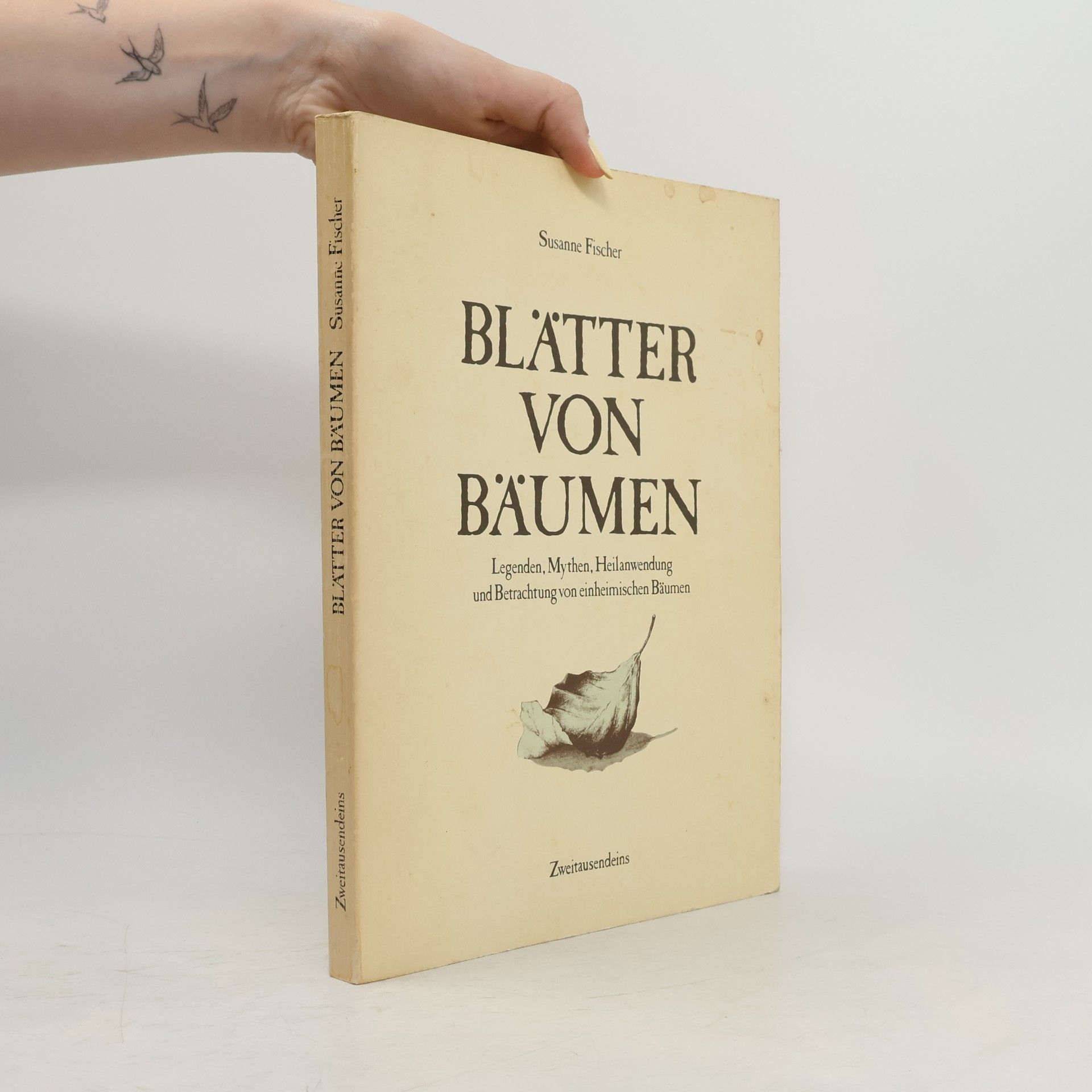 Susanne Fischer Blätter von Bäumen