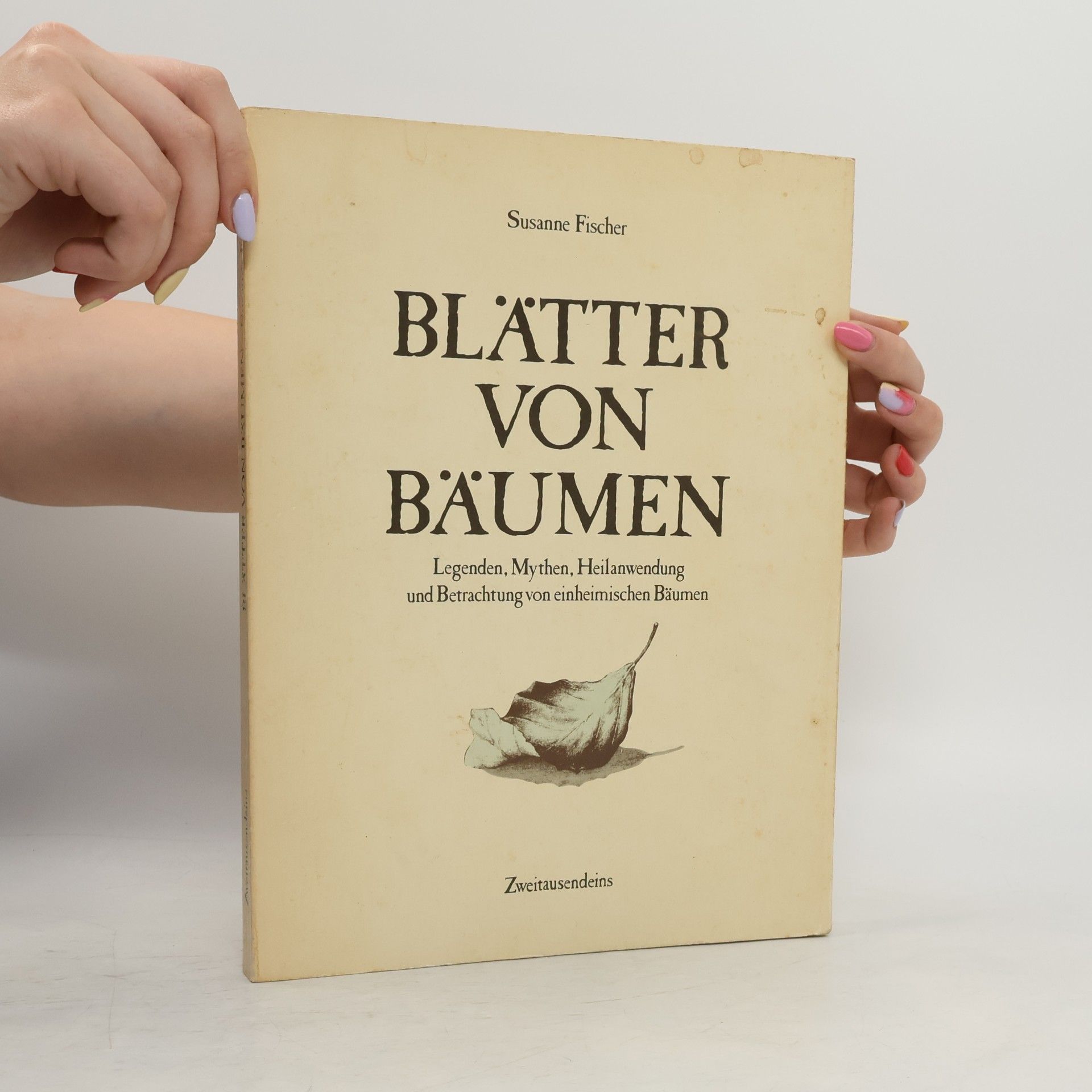 Susanne Fischer Blätter von Bäumen