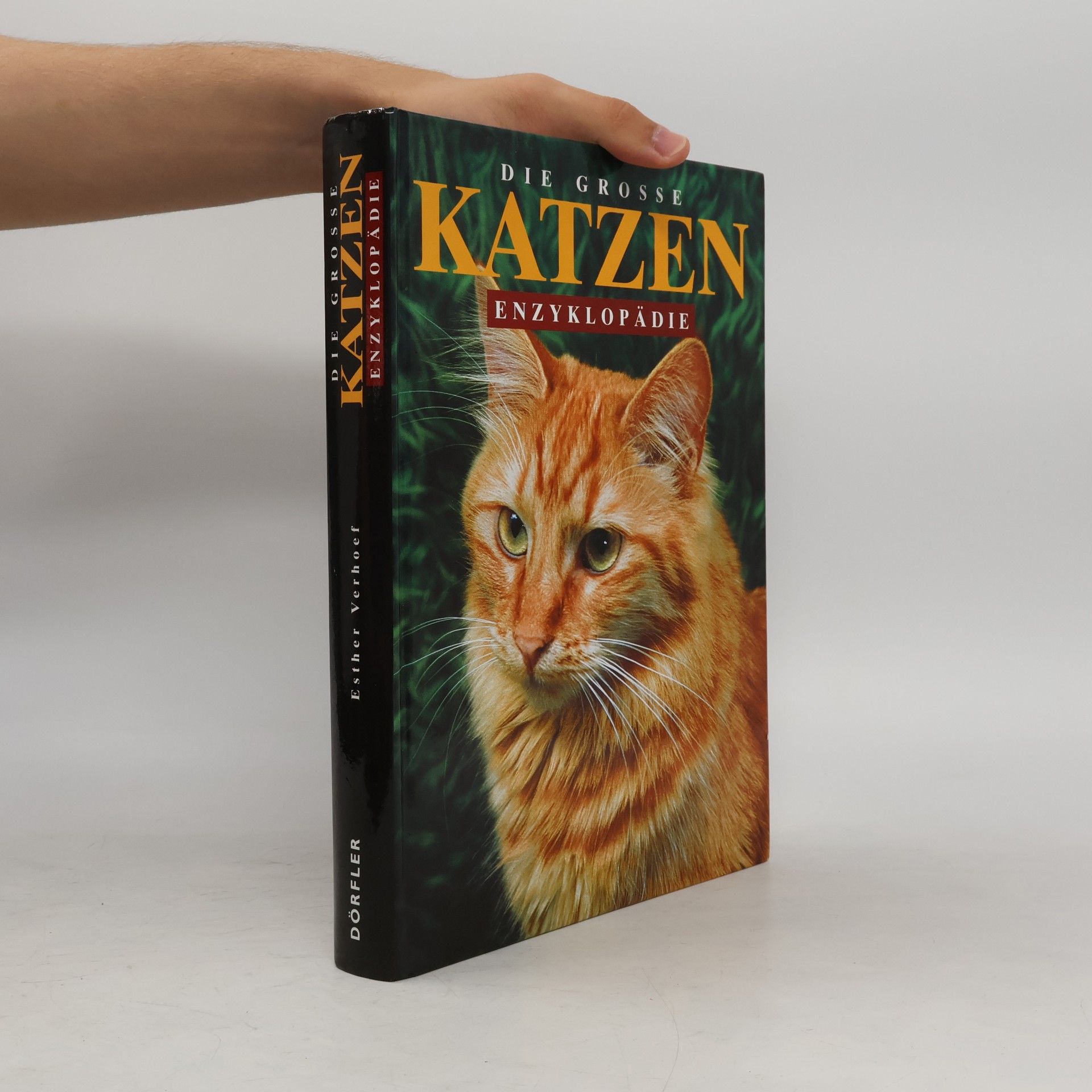 Berry Verhoef Die große Katzen-Enzyklopädie