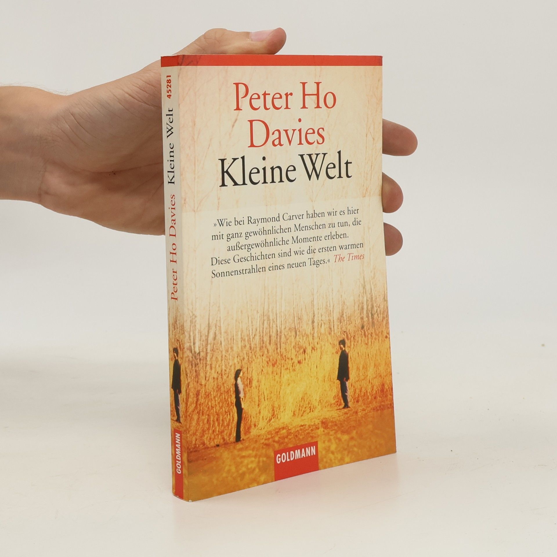 Peter Ho Davies Kleine Welt