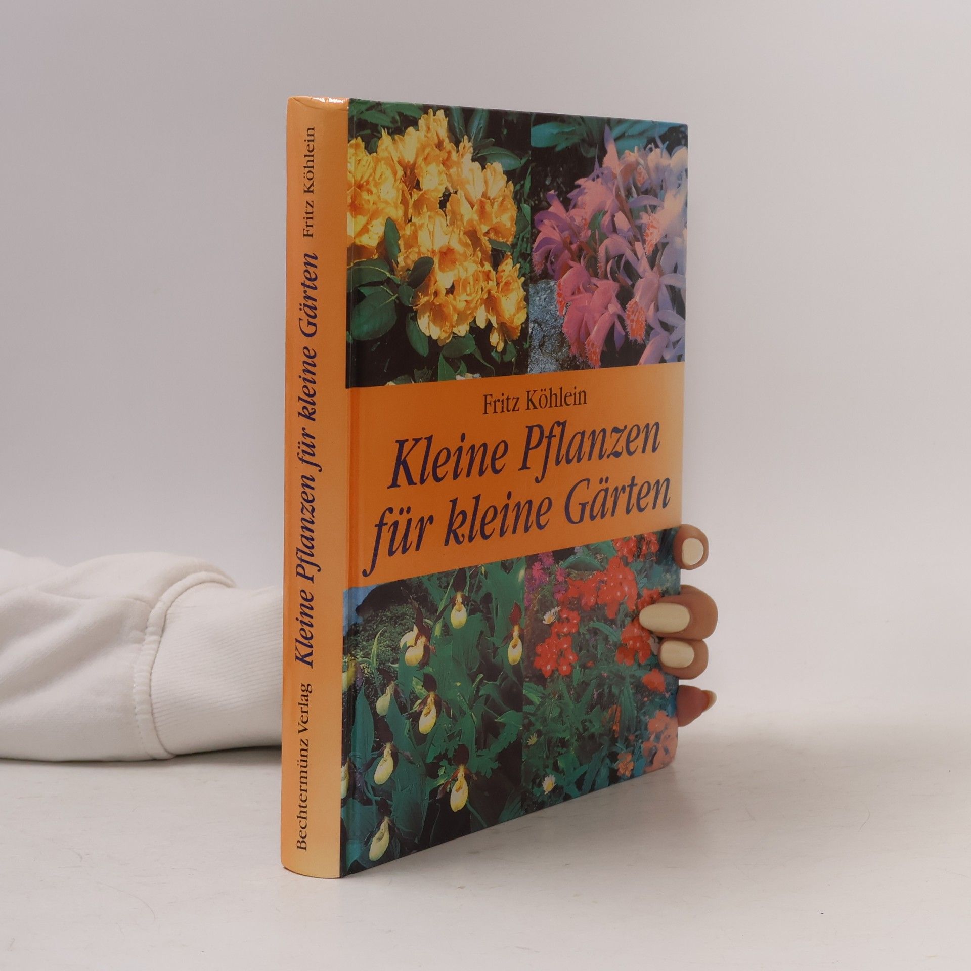 Kleine Pflanzen für kleine Gärten