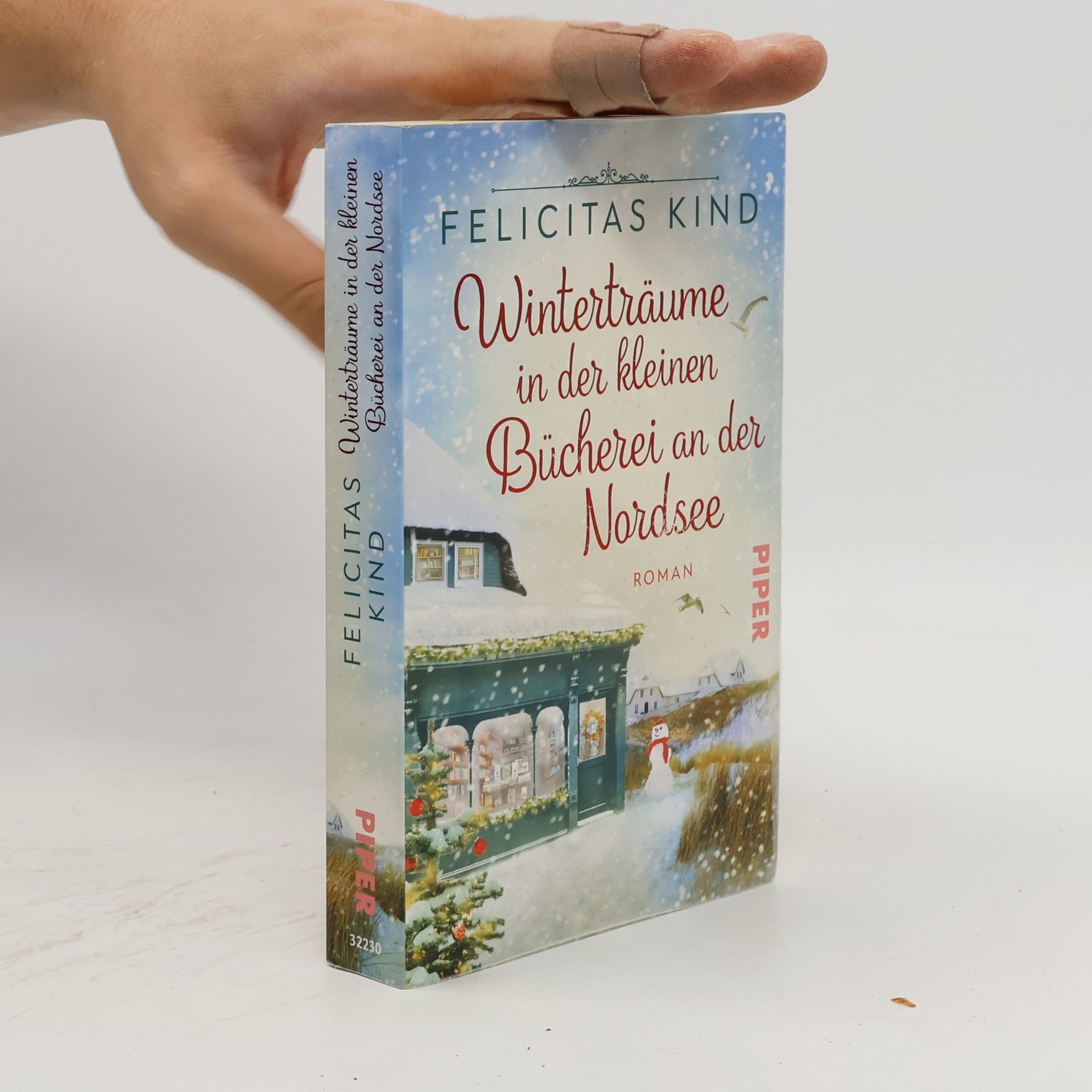 Felicitas Kind Winterträume in der kleinen Bücherei an der Nordsee