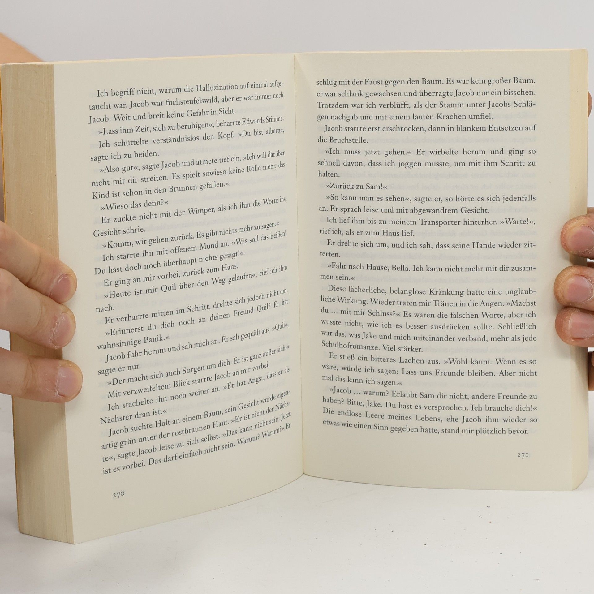 Stephenie Meyer Biss zur Mittagsstunde