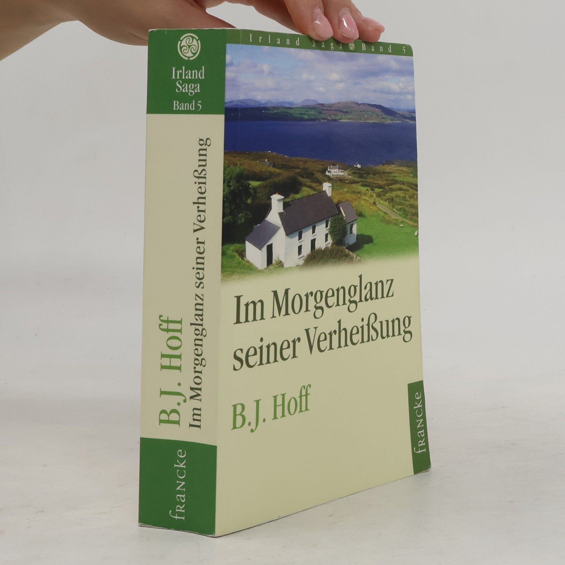 Brenda J. Hoff Irland Saga - 5: Im Morgenglanz seiner Verheißung