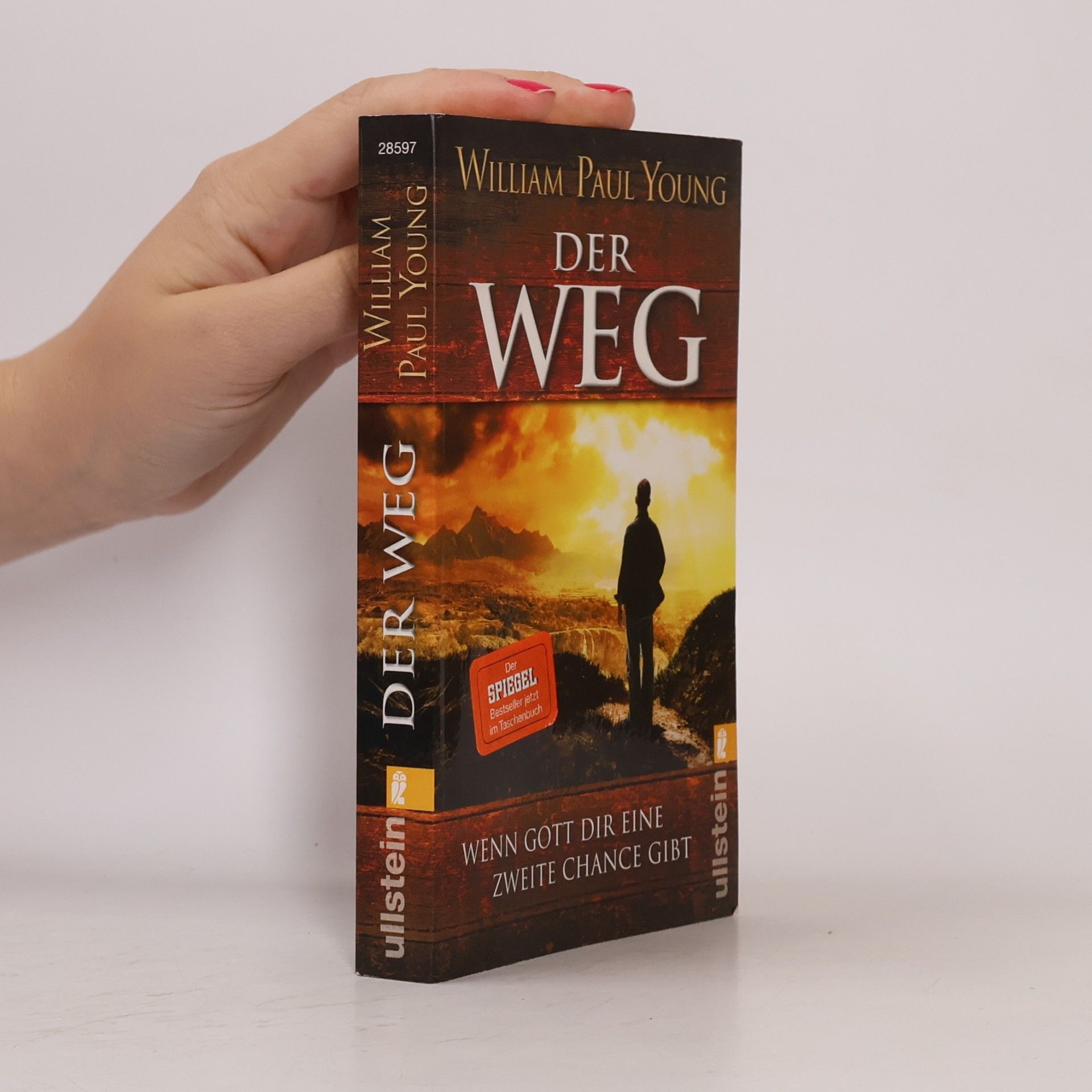 William P. Young Der Weg