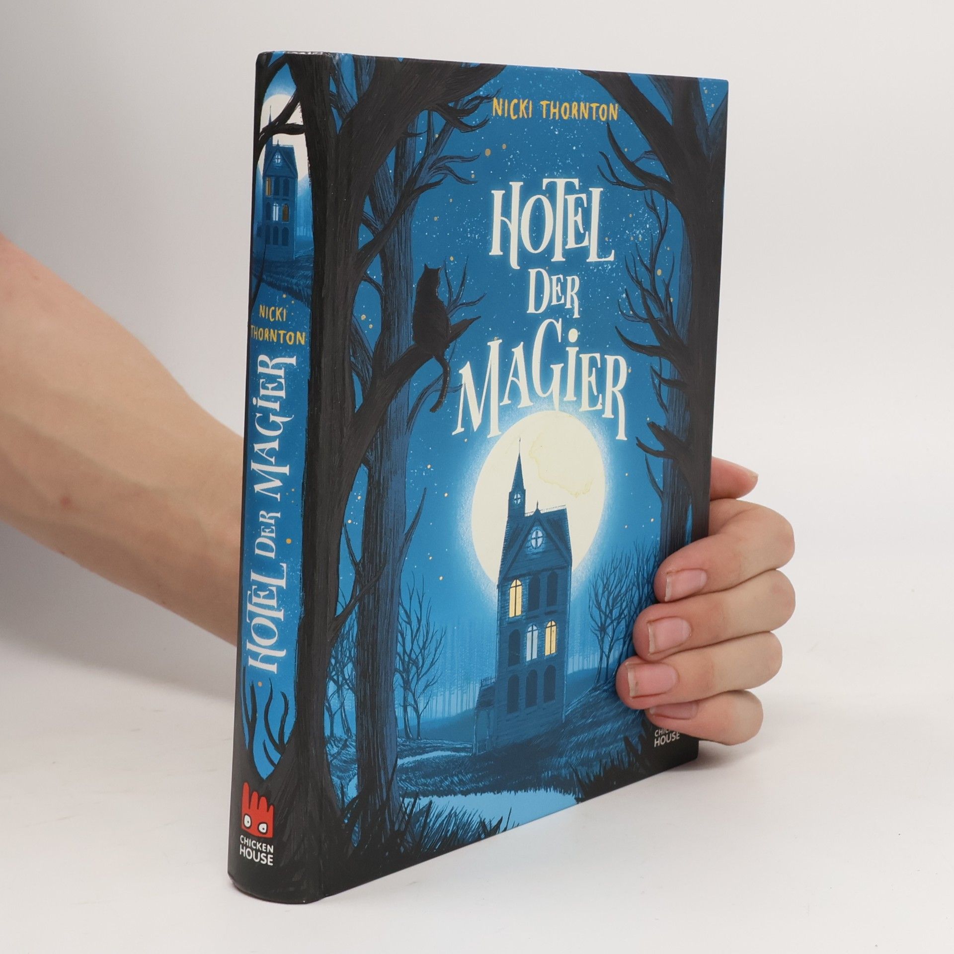 Nicki Thornton Hotel der Magier