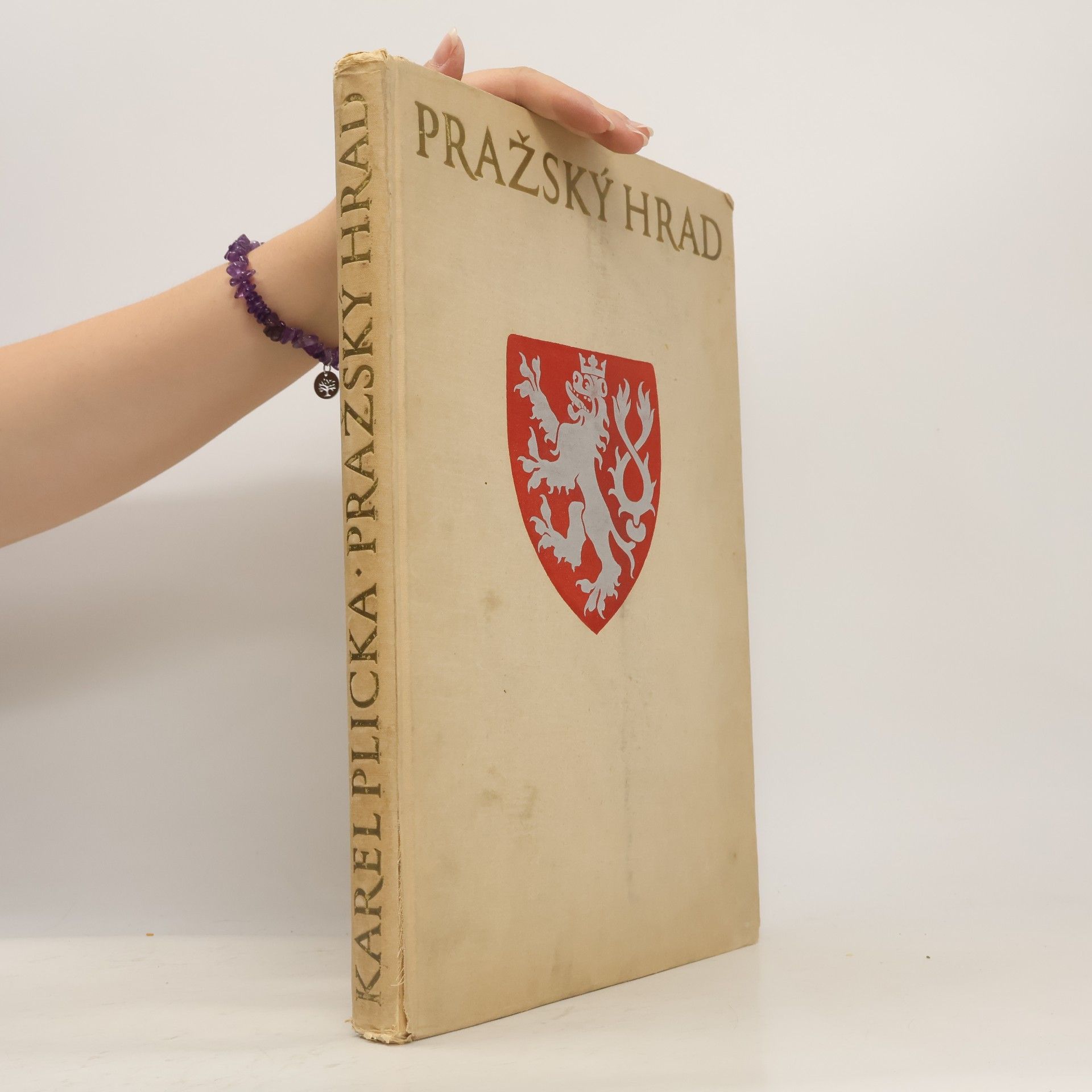 Karel Plicka Pražský hrad