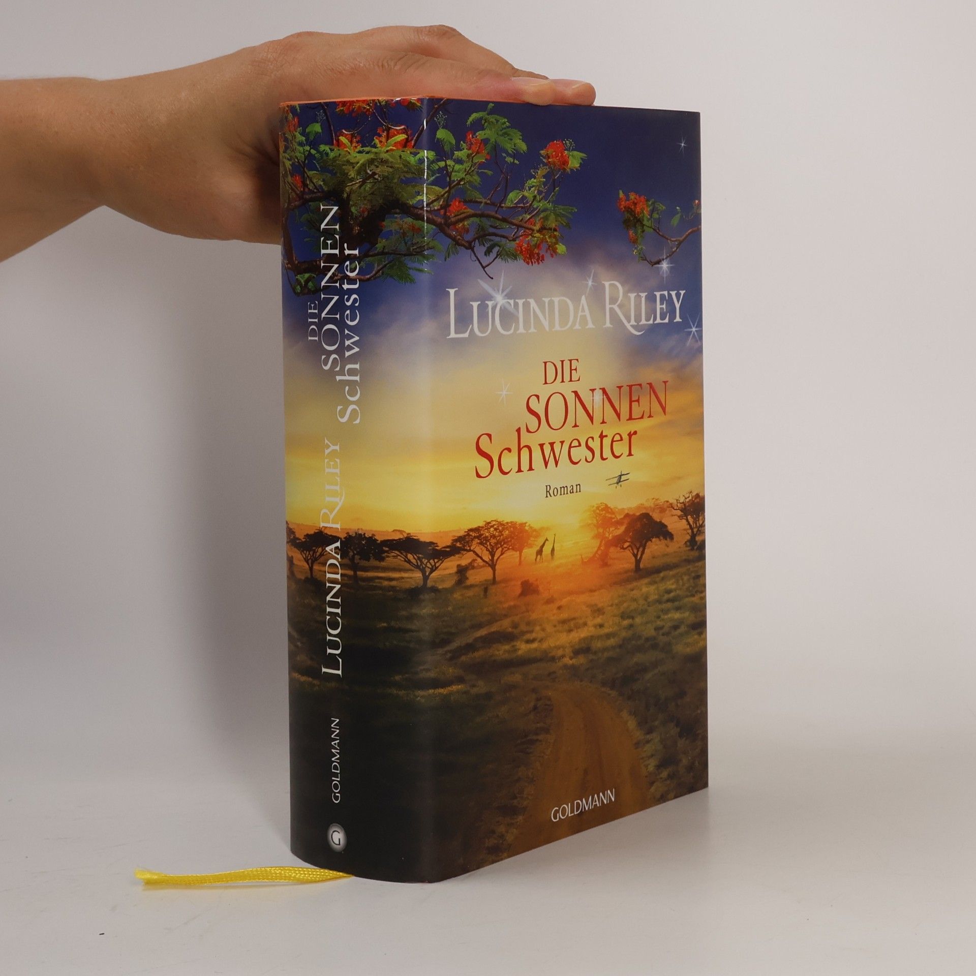 Lucinda Riley Die Sonnenschwester