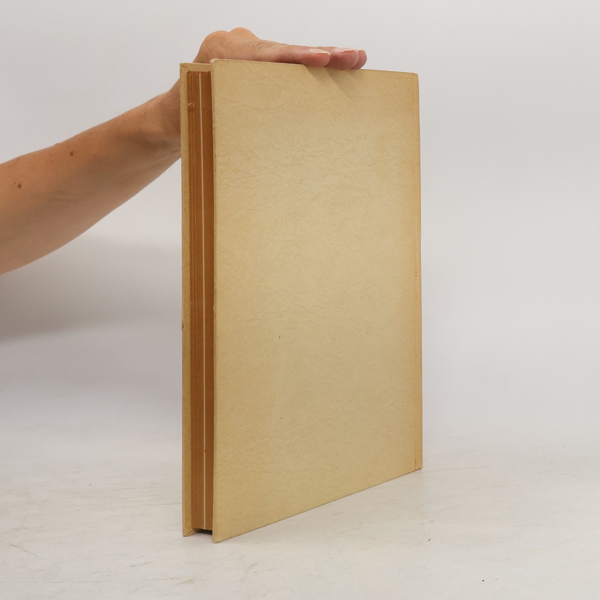 Autorenkollektiv Deutsches Dante Jahrbuch